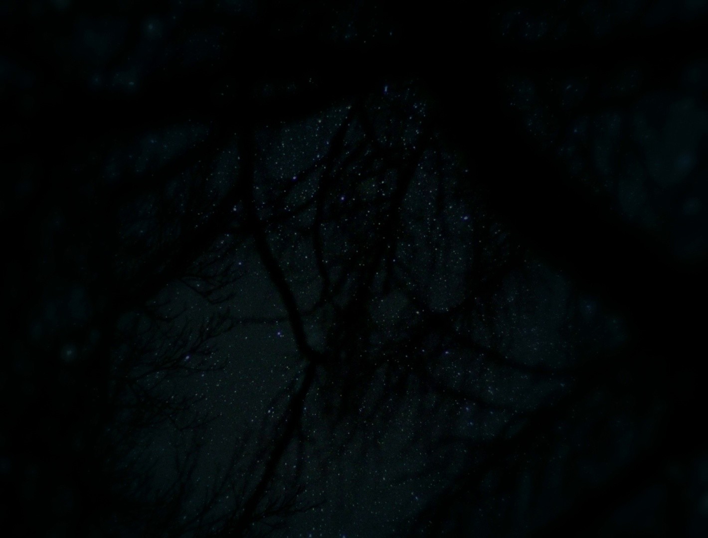 Sleep Has Her House (2017) —  shot,  lighting