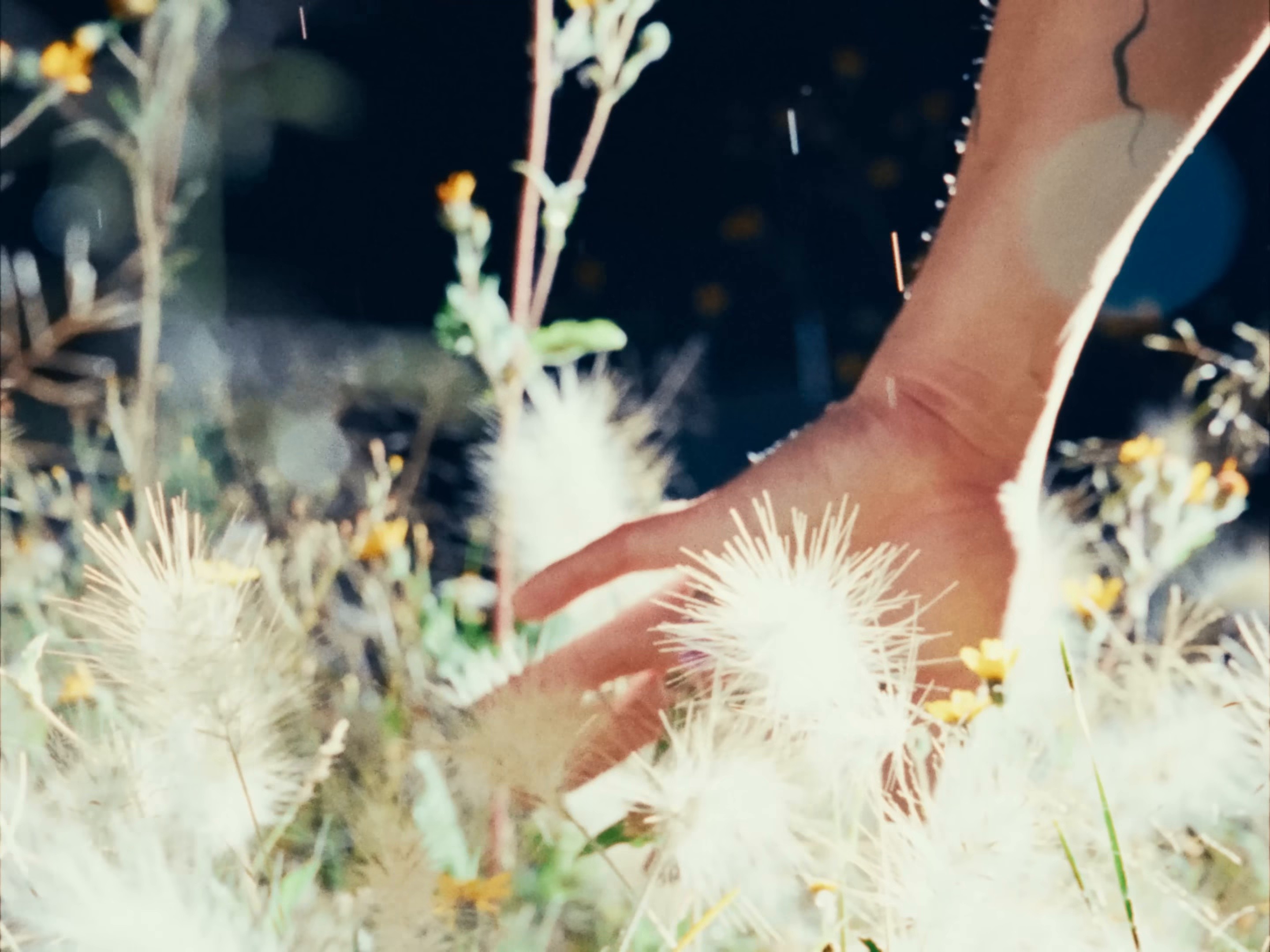 LOVELANGUAGE (2023) —  shot,  lighting