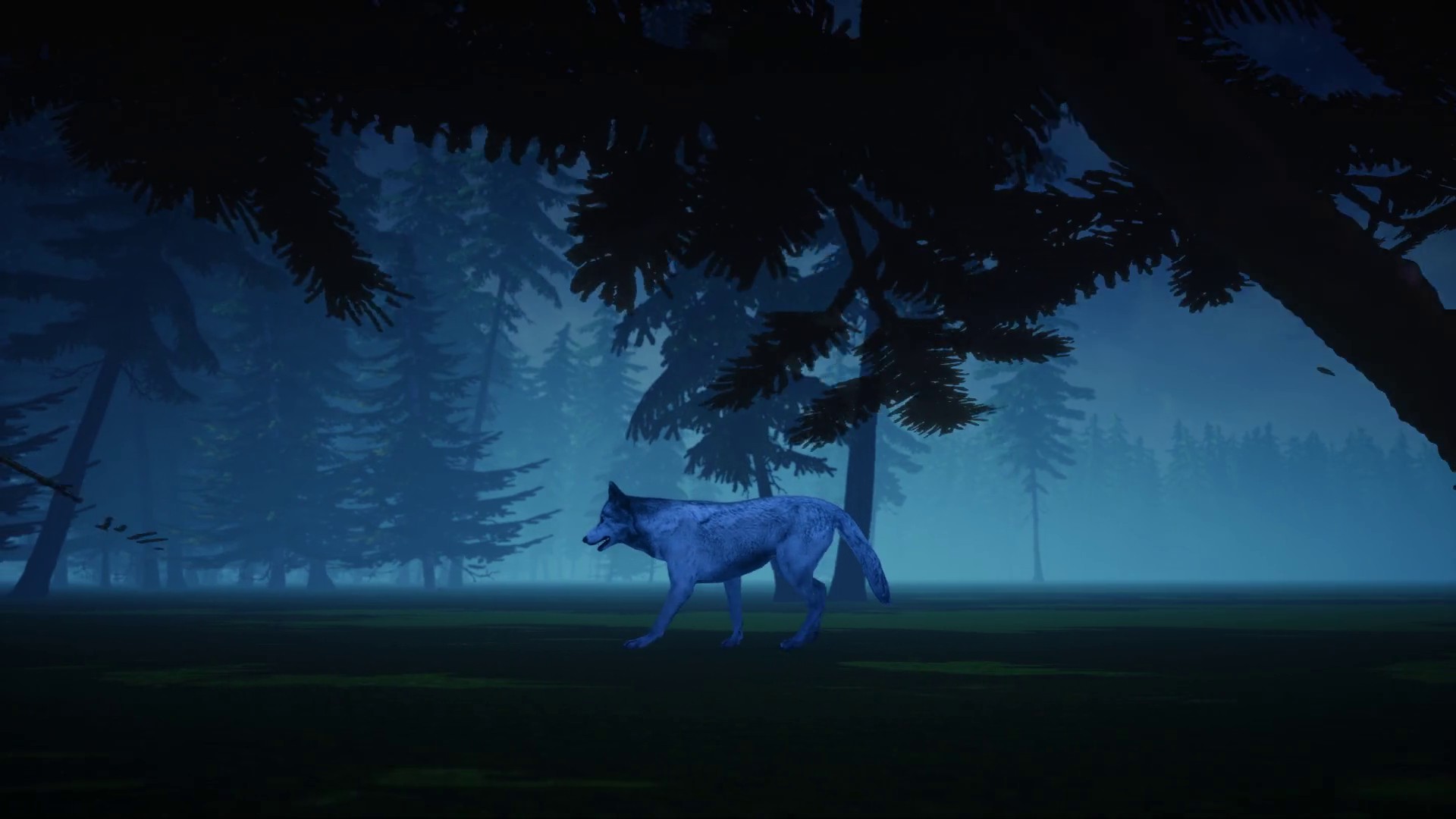 Fangs Out (2018) —  shot,  lighting