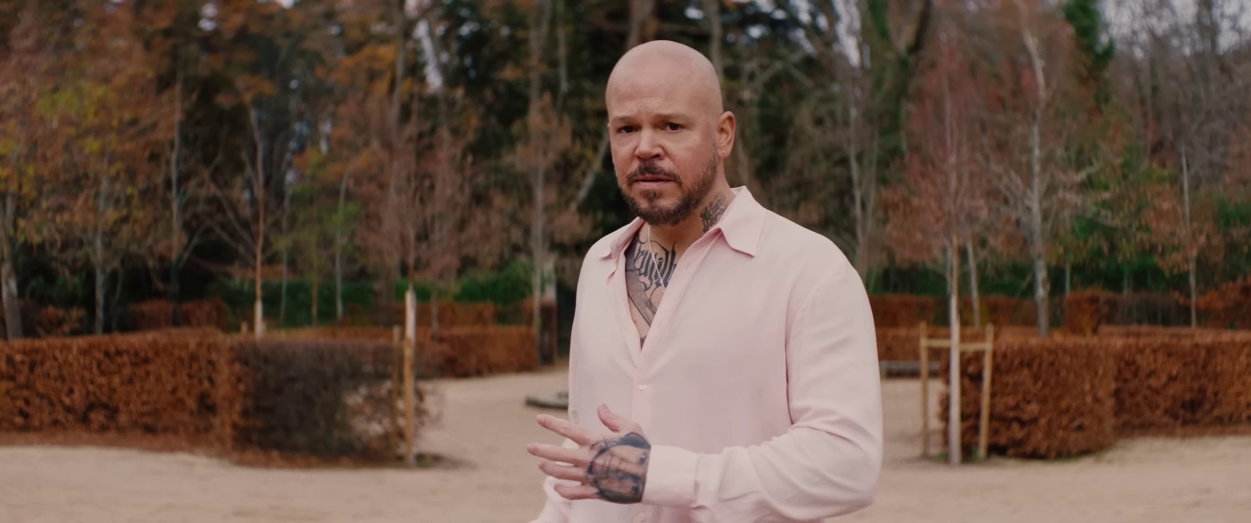 313 (2024) —  shot,  lighting