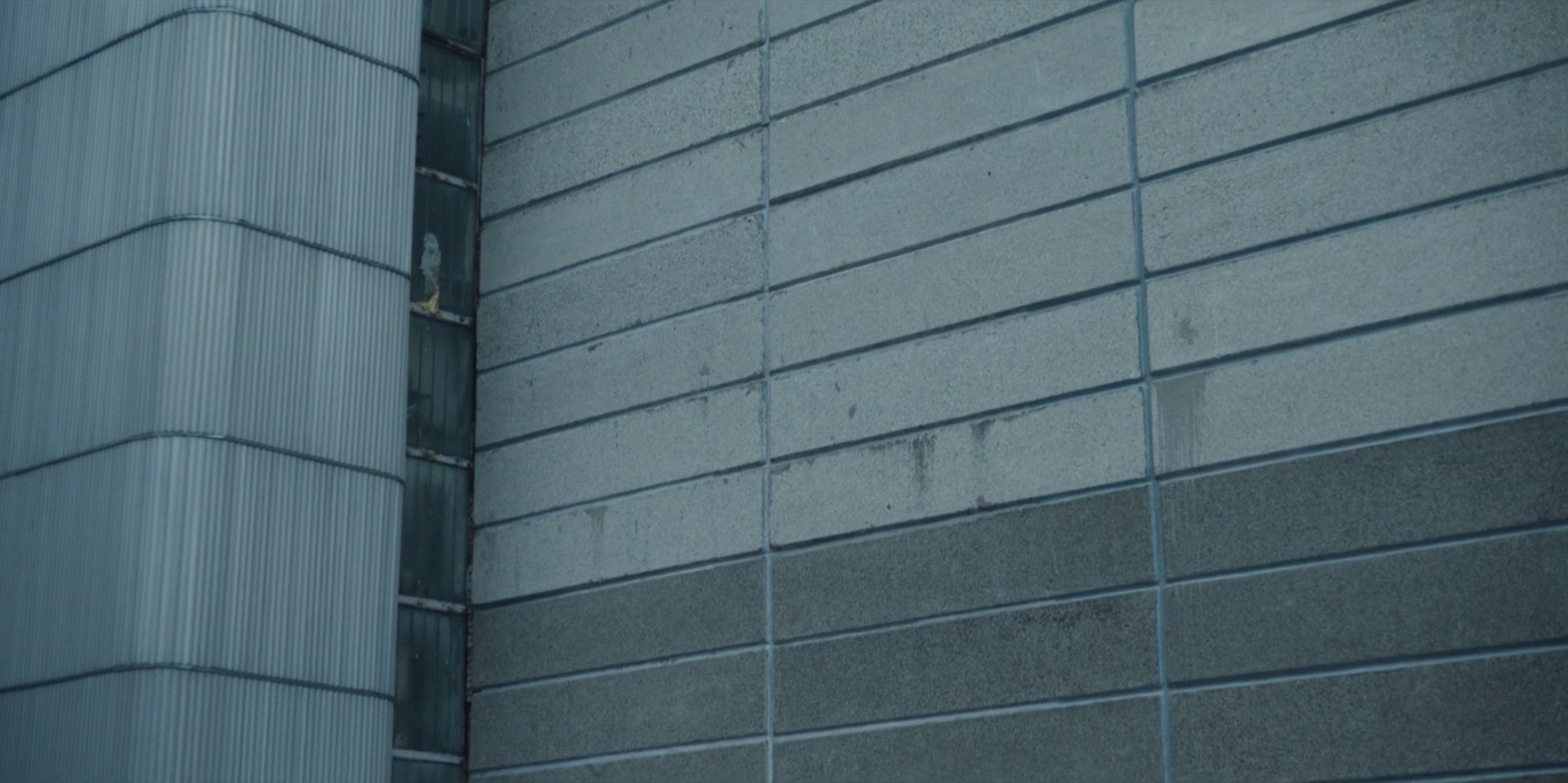 Open Wide, O Earth (2019) —  shot,  lighting