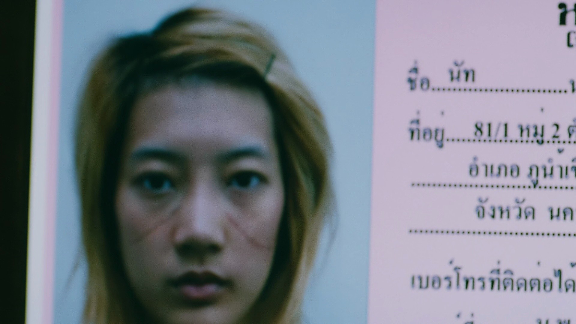 Slice (2009) —  shot,  lighting