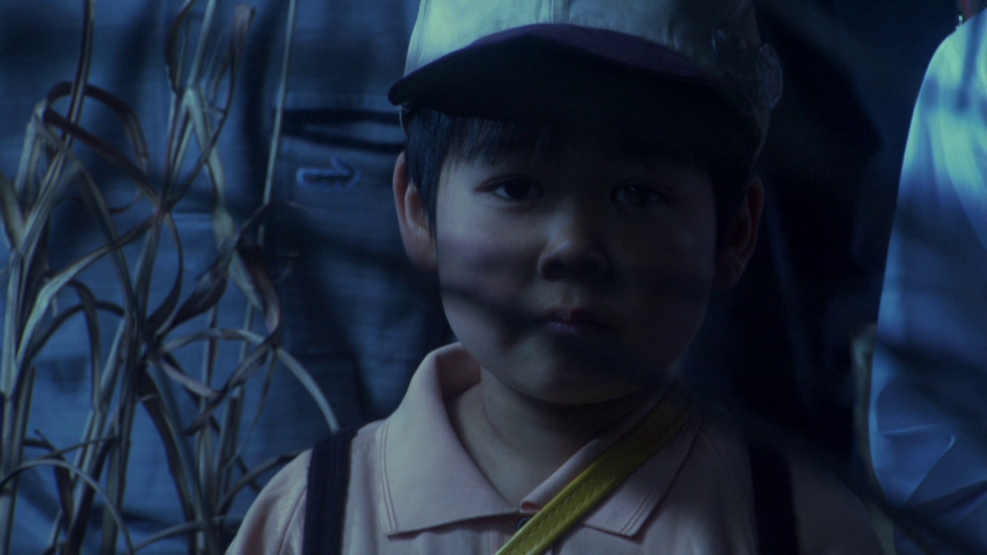 The Happiness of the Katakuris (2001) —  shot,  lighting