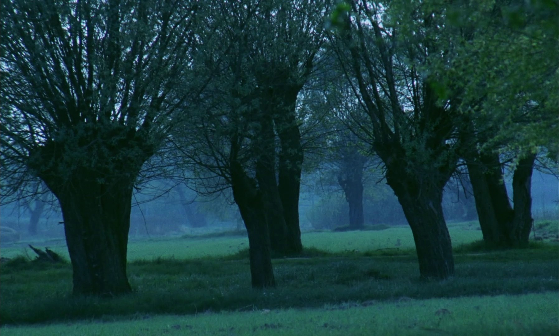 On the Silver Globe (1989) —  shot,  lighting