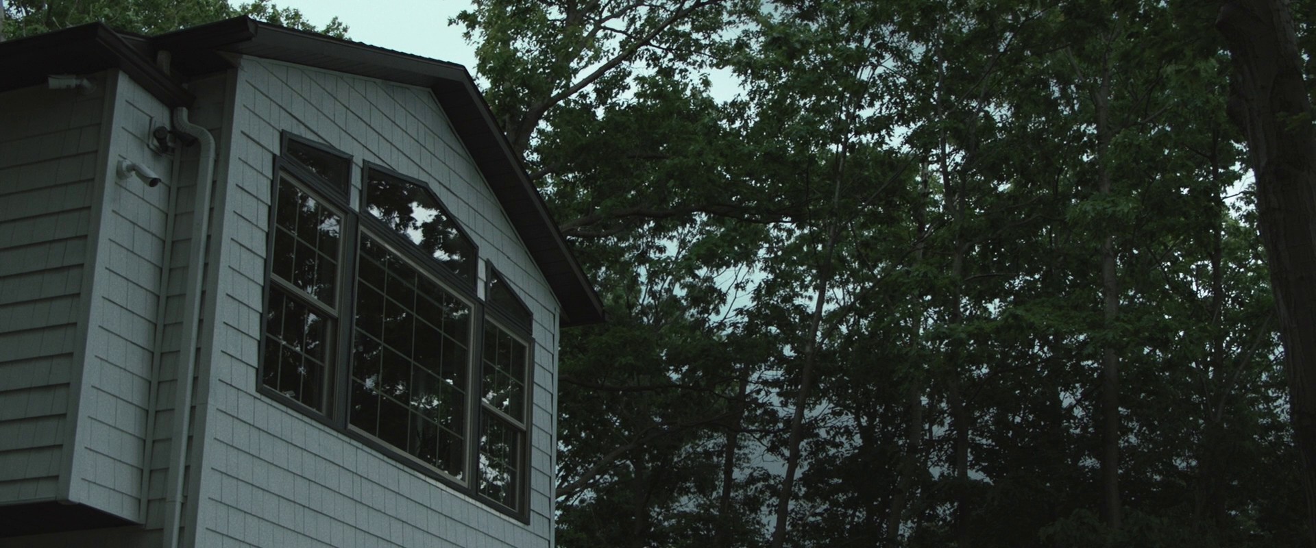 The Night House (2020) —  shot,  lighting