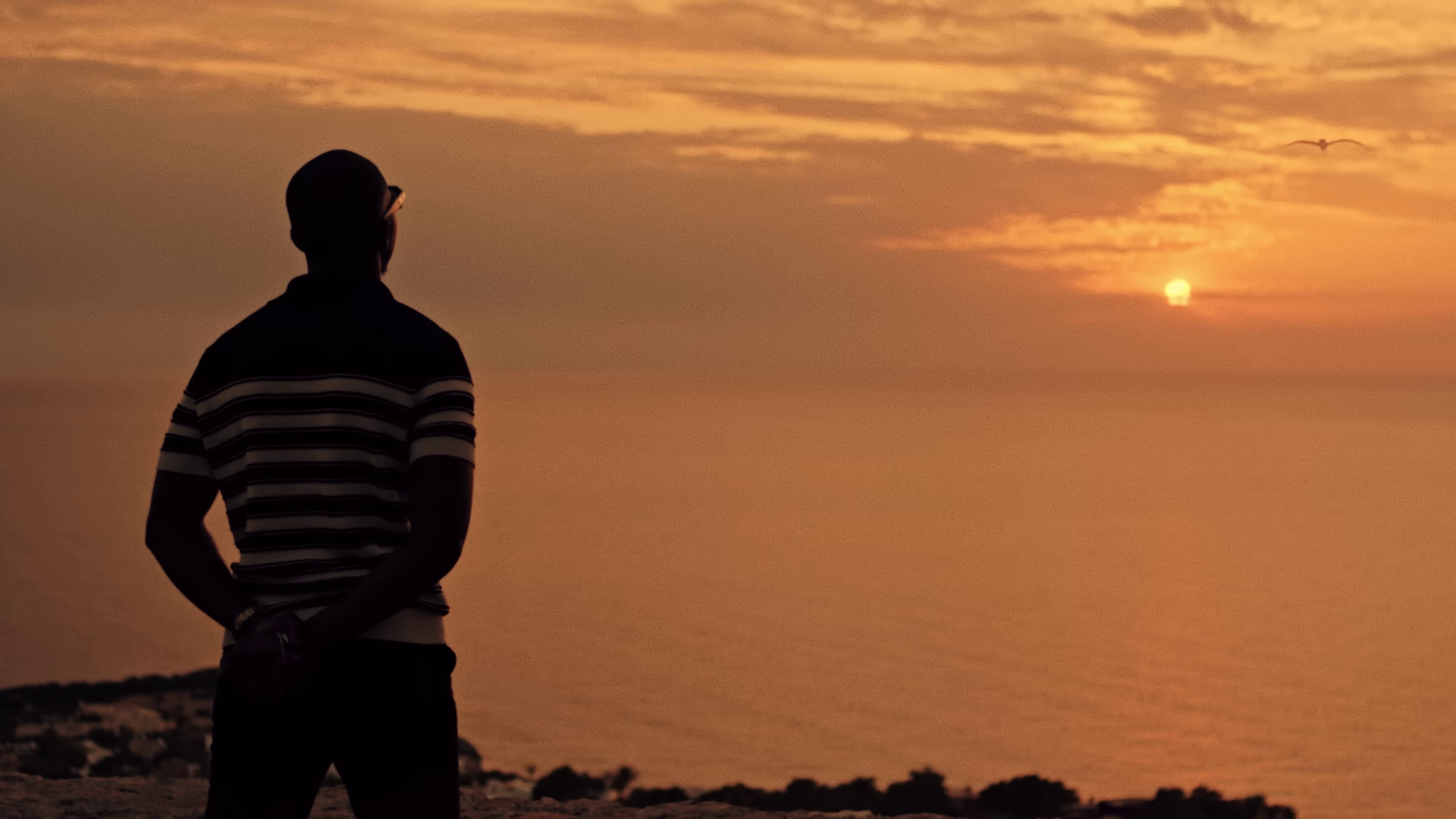 Pélican (2023) —  shot,  lighting