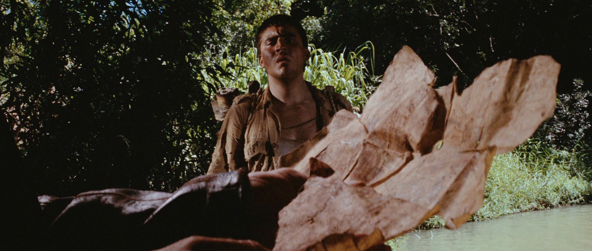 Indiana Jones and the Raiders of the Lost Ark (1981) —  shot,  lighting