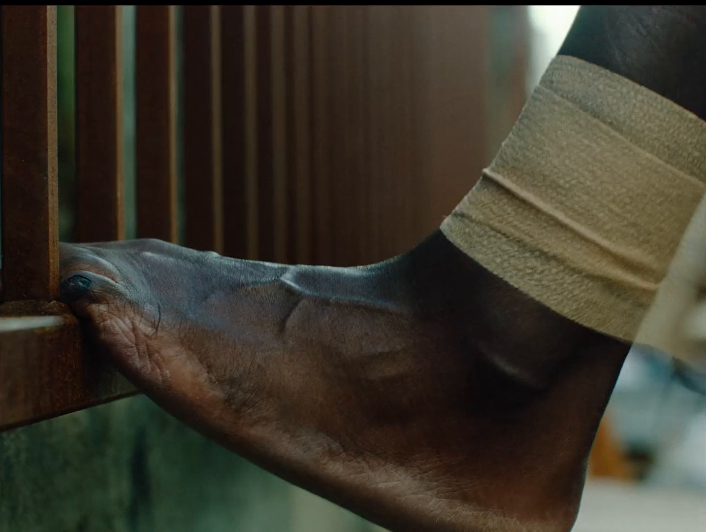 Oakley | Running Sucks (2023) —  shot,  lighting