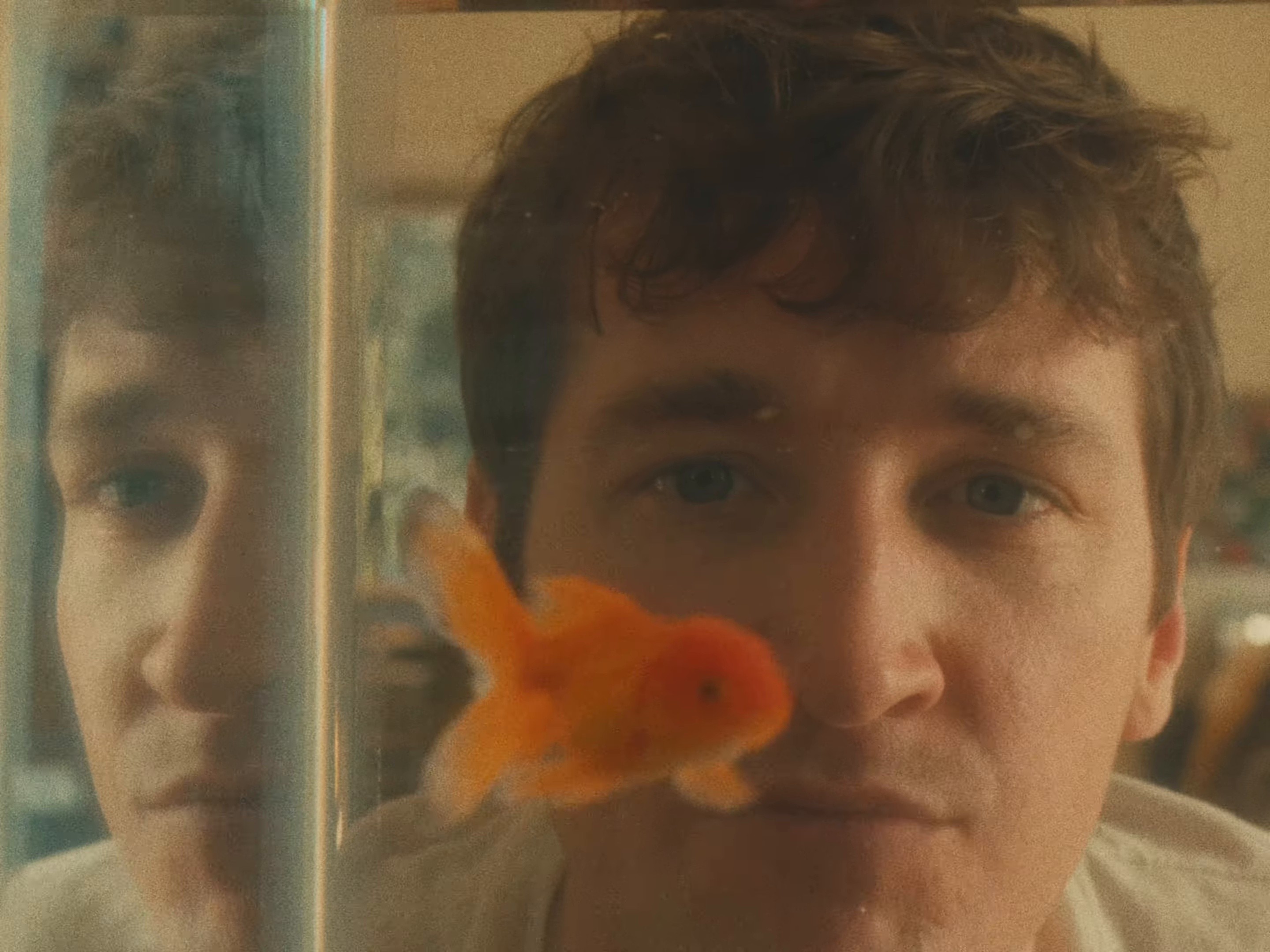 Feel Your Flame (2025) —  shot,  lighting