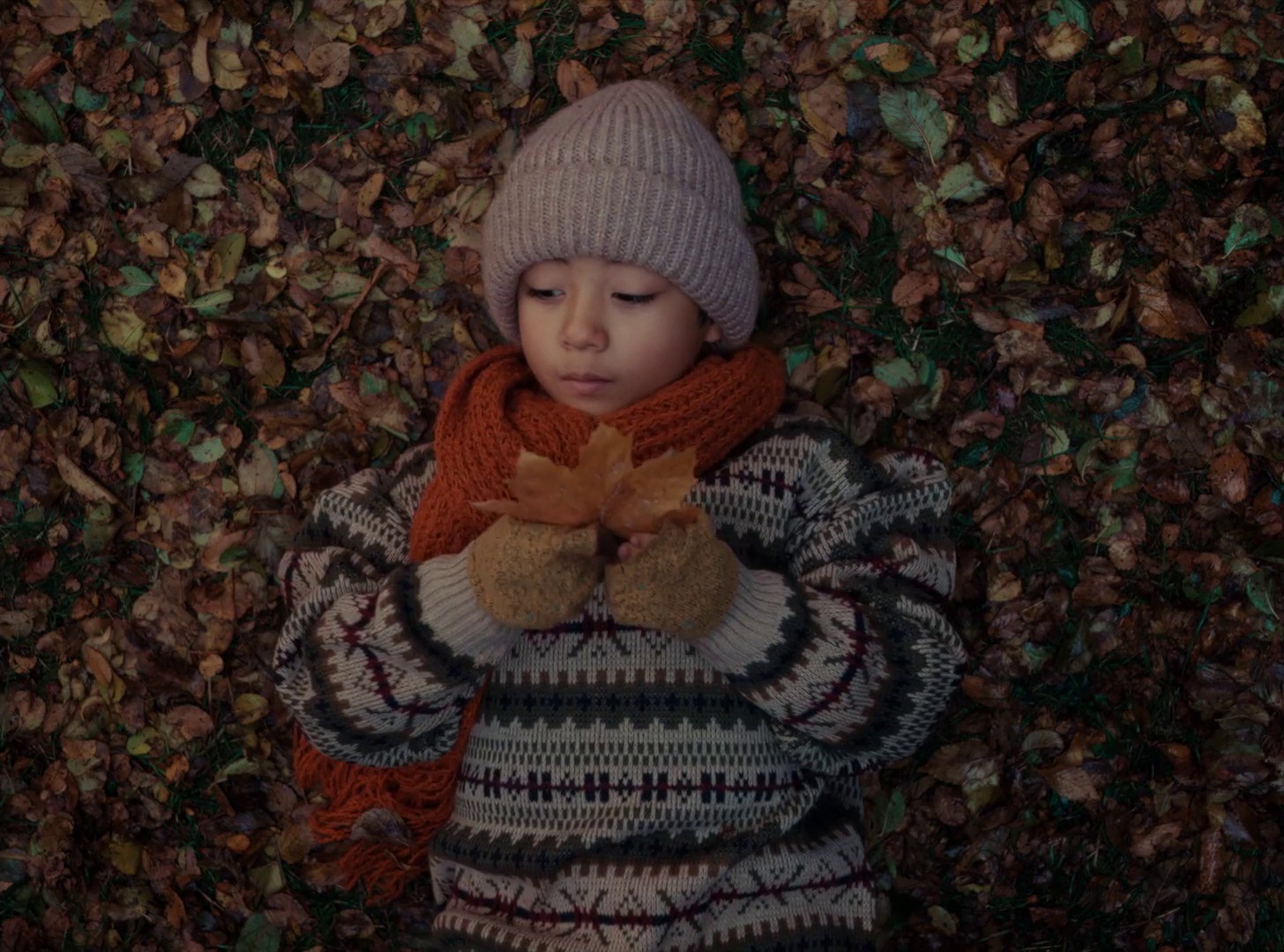 EGALE "HELP US REMAIN" (2024) —  shot,  lighting