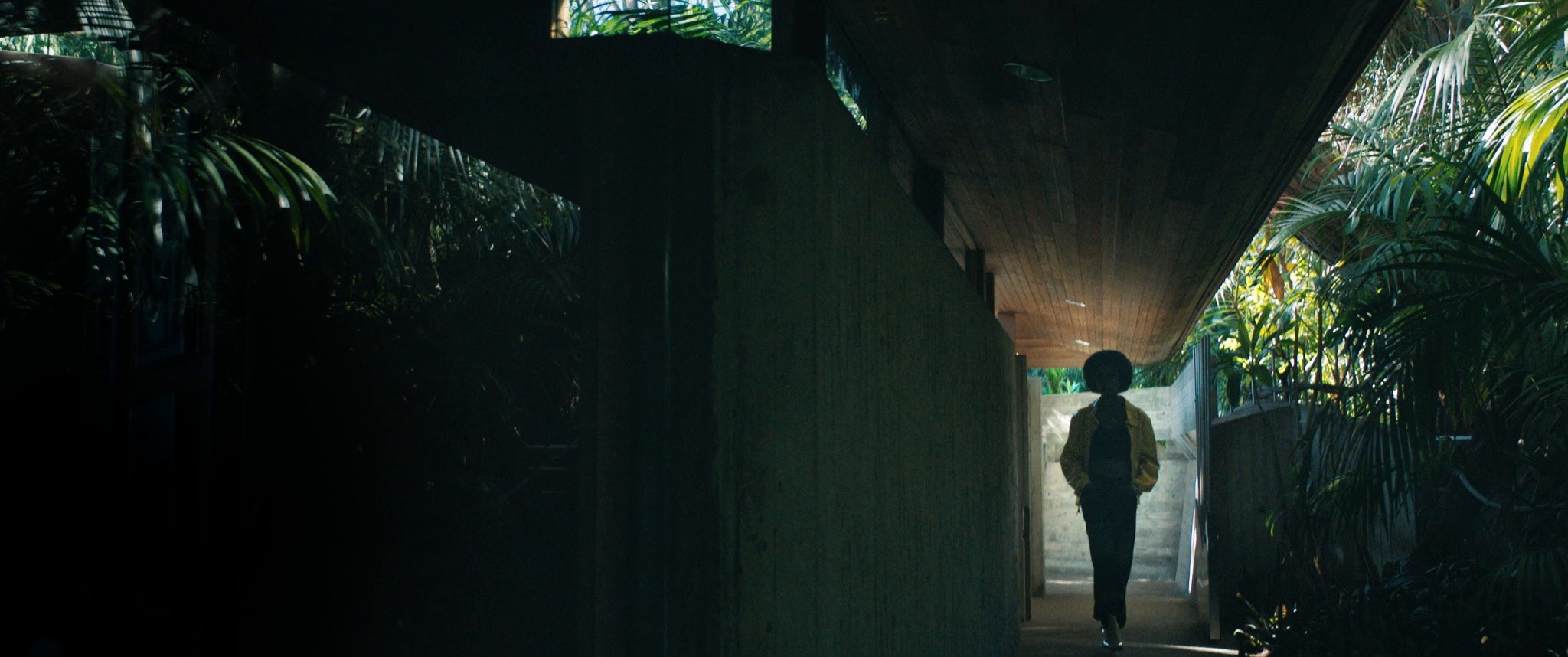 Haze Eyewear (2020) —  shot,  lighting