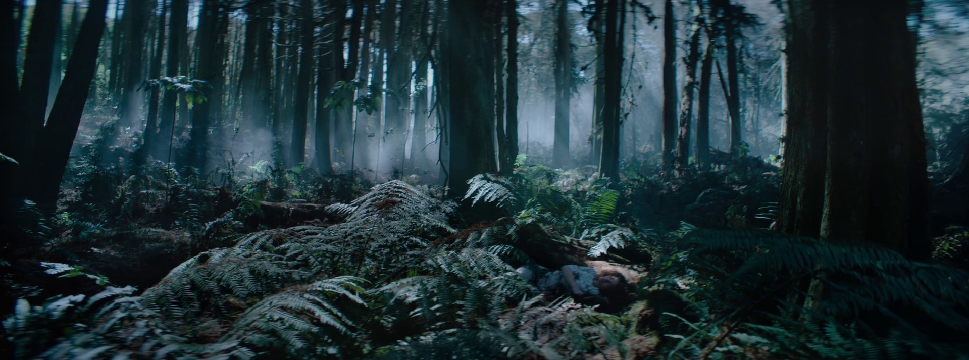 Calendário (2020) —  shot,  lighting