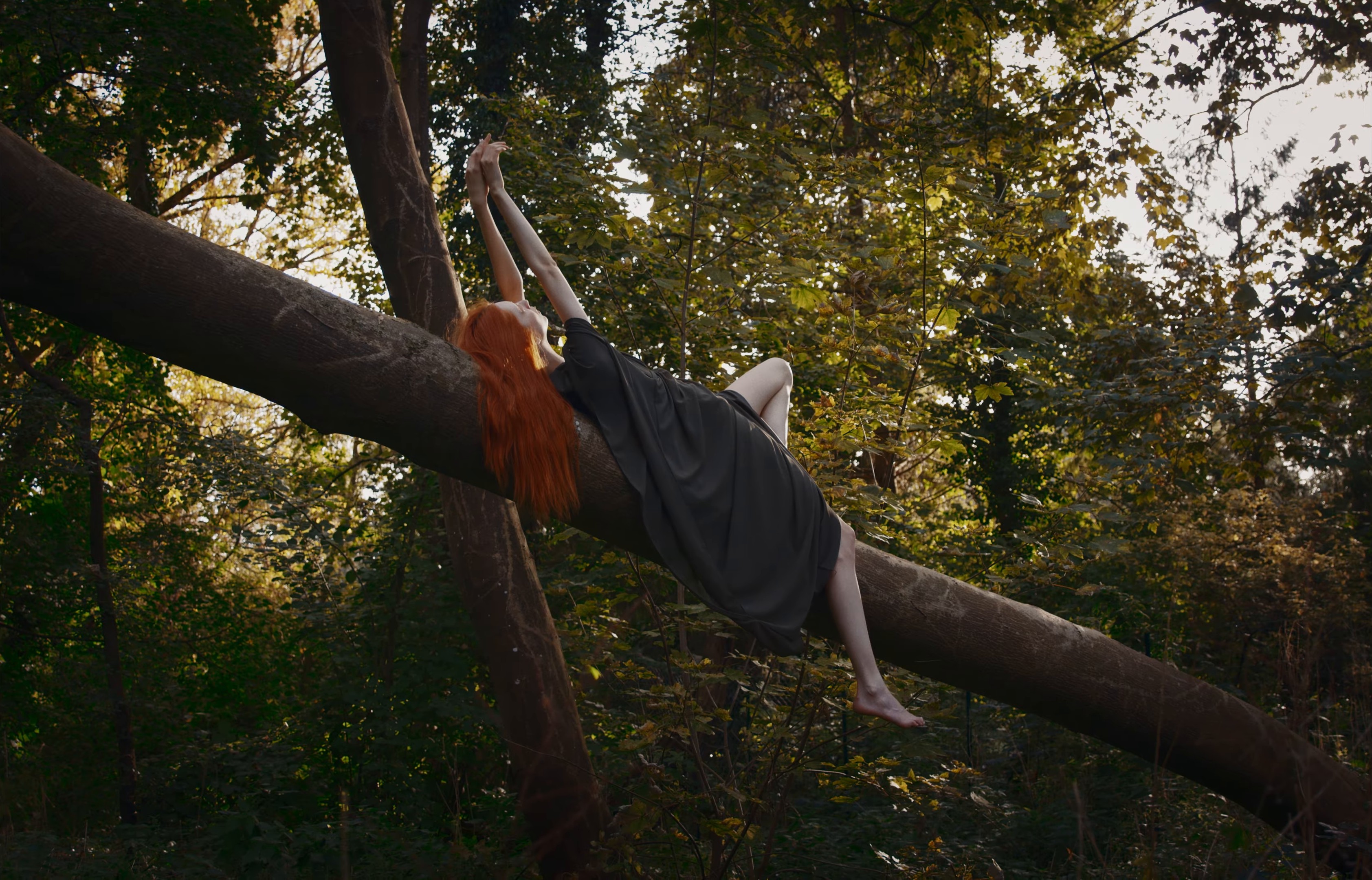 Arroyo Dorado (2024) —  shot,  lighting