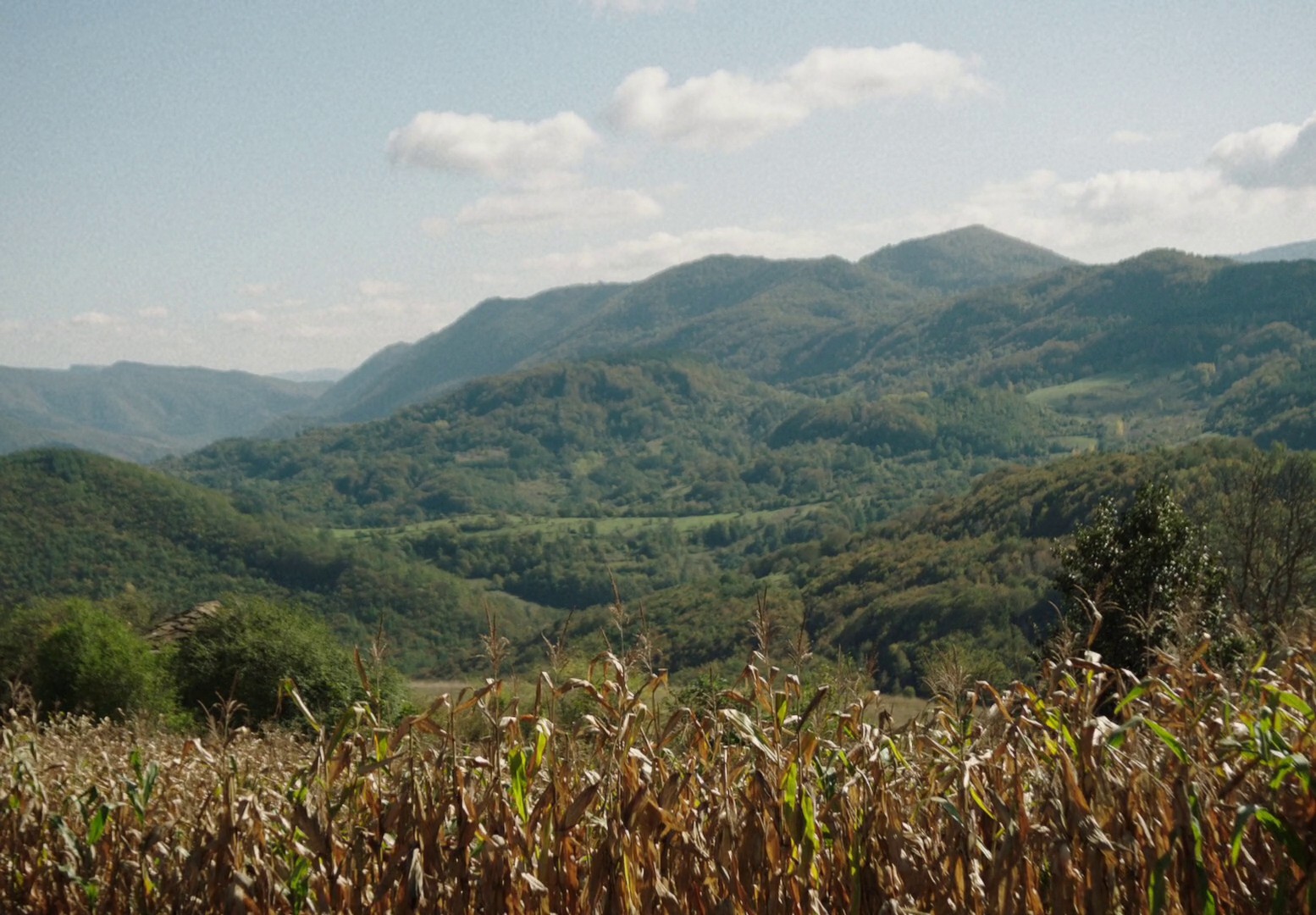 You Won't Be Alone (2022) —  shot,  lighting