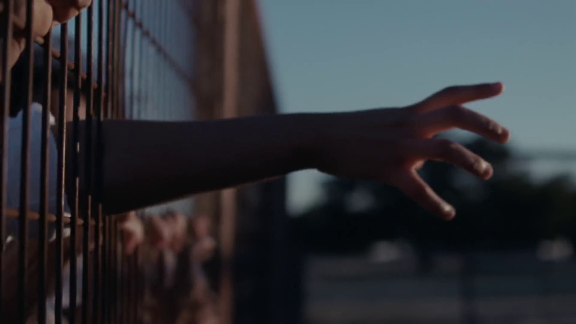 This Land (2019) —  shot,  lighting