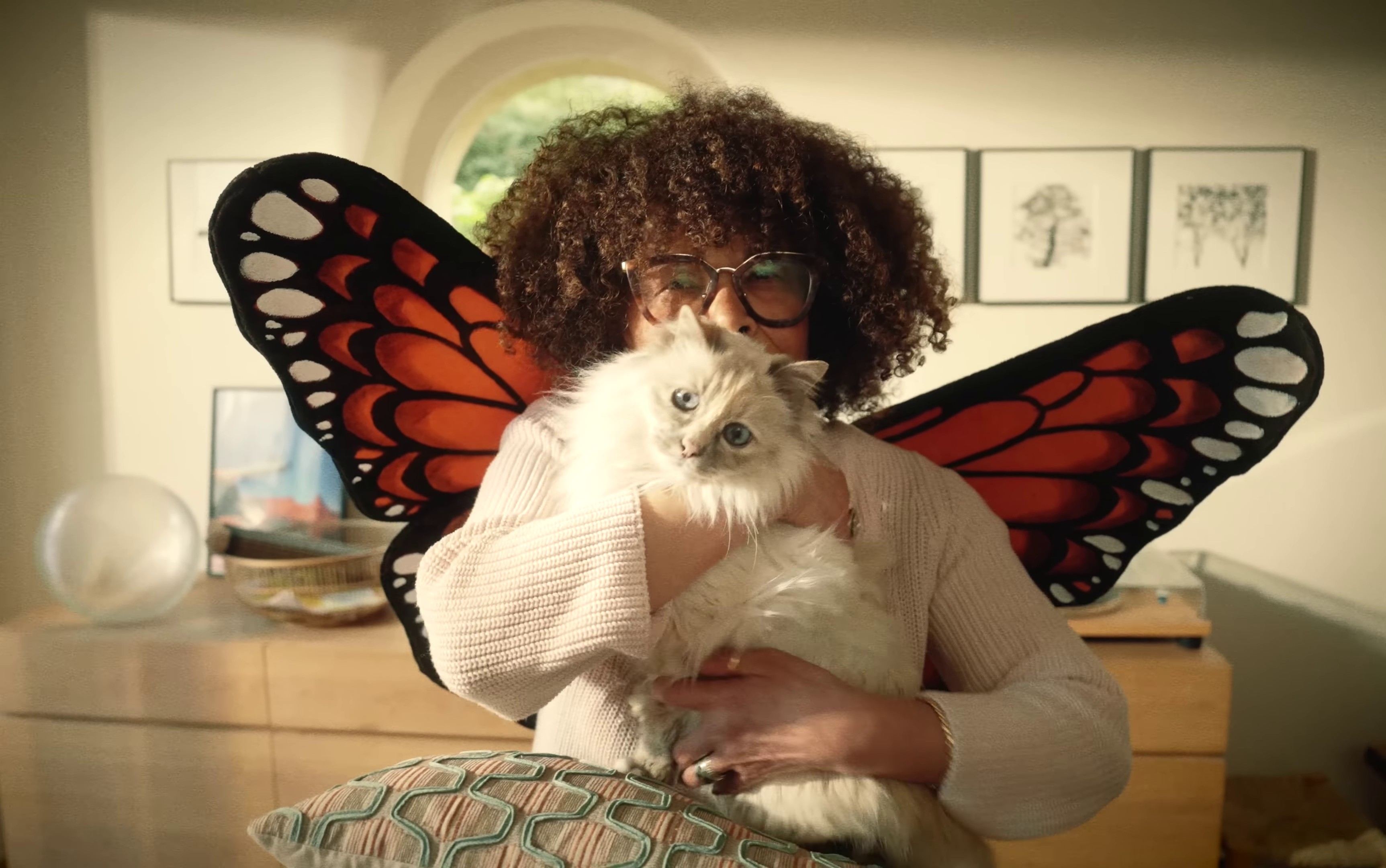 Papillon Monarque (2023) —  shot,  lighting