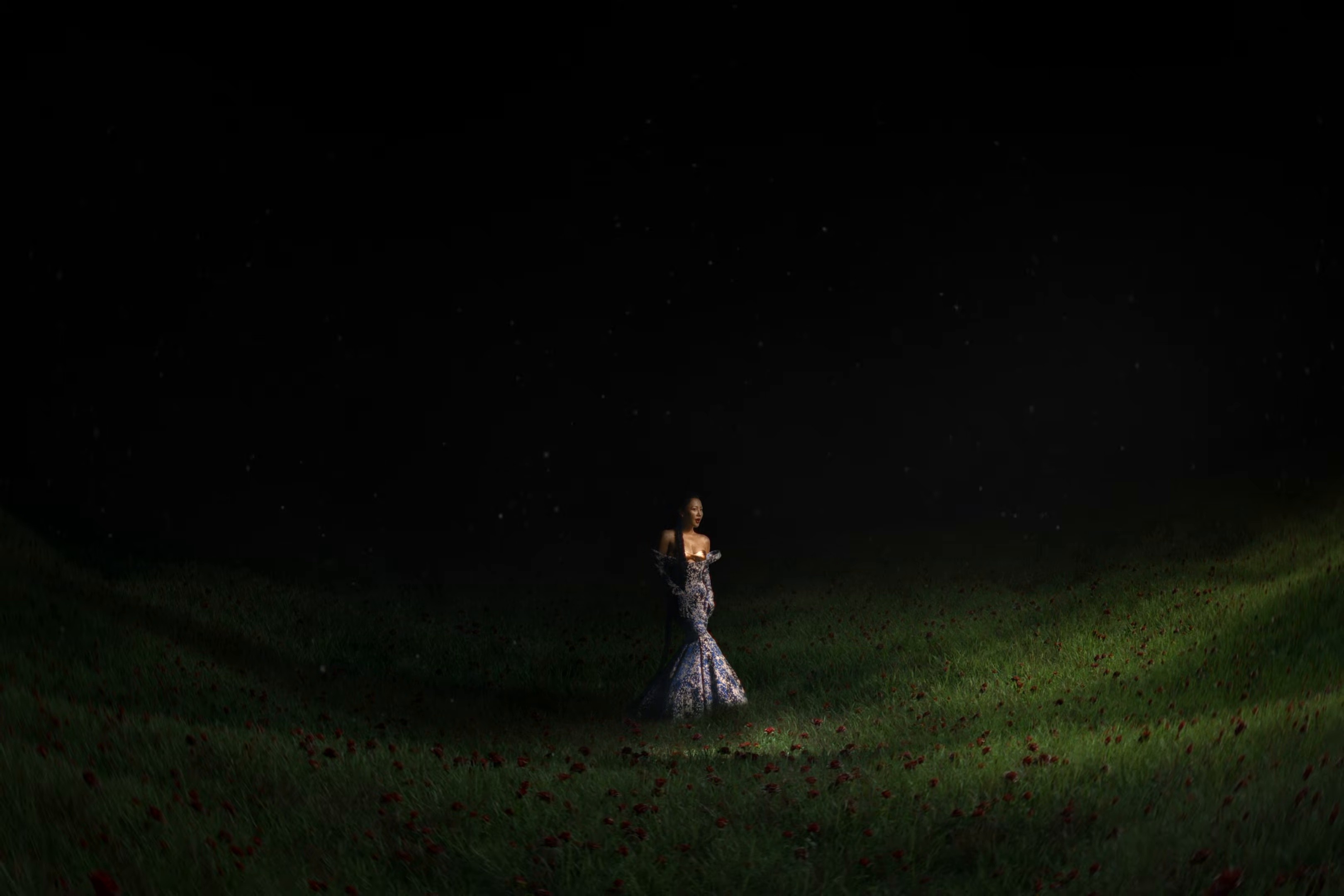 VƯỜN HỒNG (2025) —  shot,  lighting