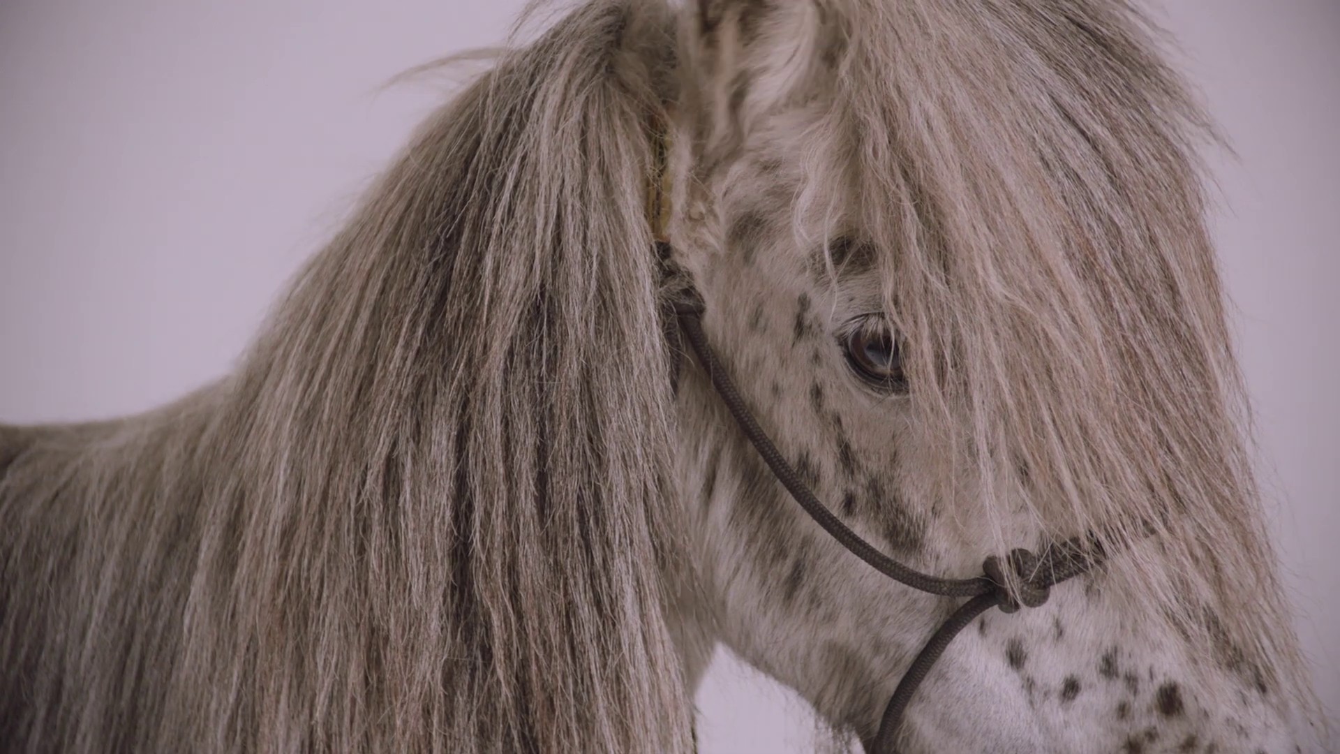 Kantori Ongaku  (2021) —  shot,  lighting