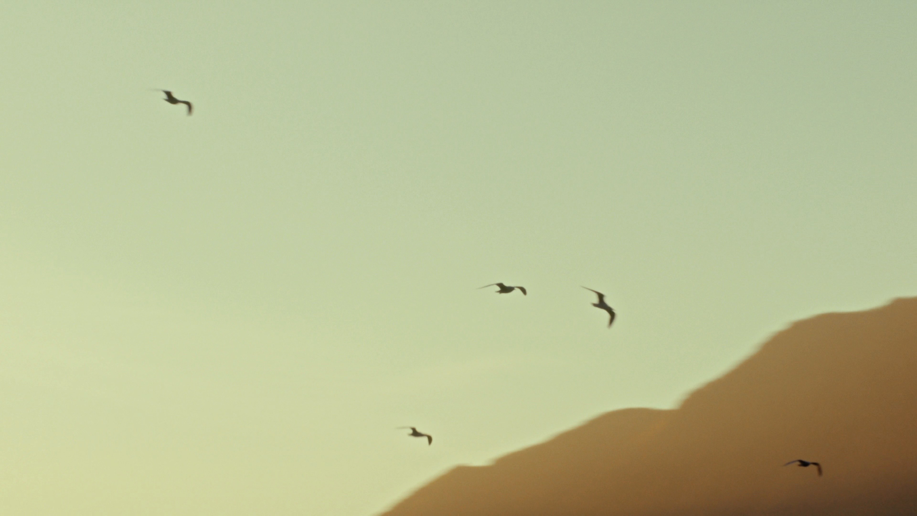 Alo Spring 2025 | Live La Dolce Vita (2025) —  shot,  lighting