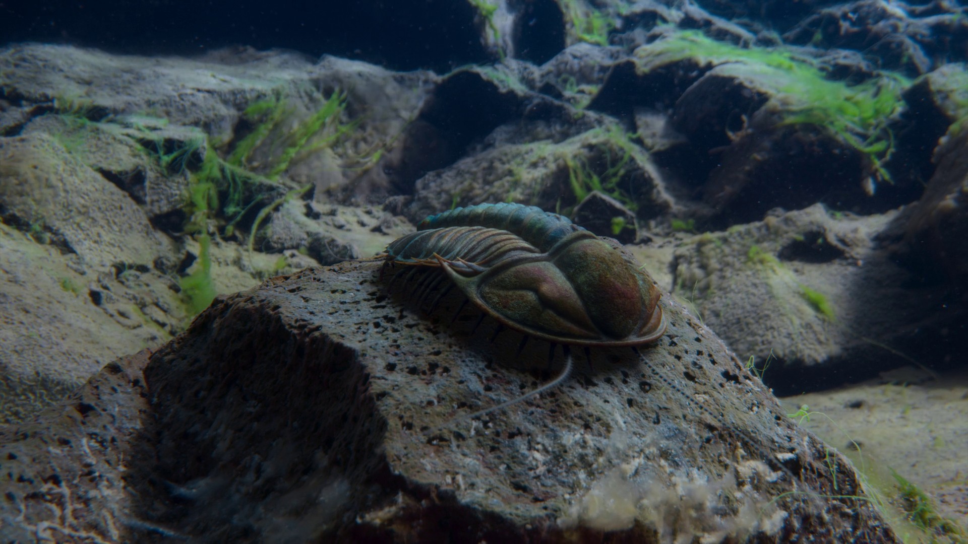 The First Frontier (2023) —  shot,  lighting