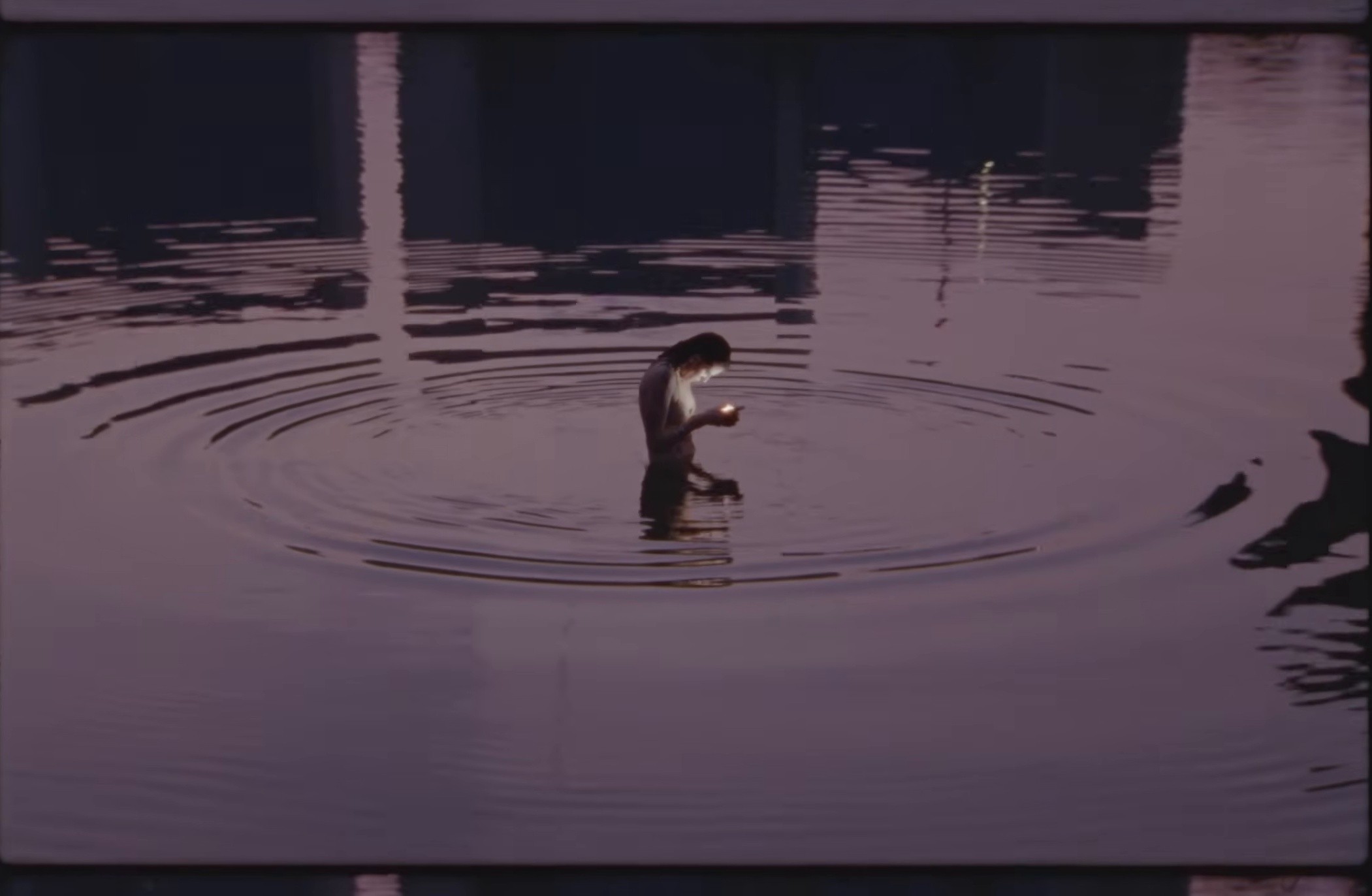 Perfect World  (2025) —  shot,  lighting