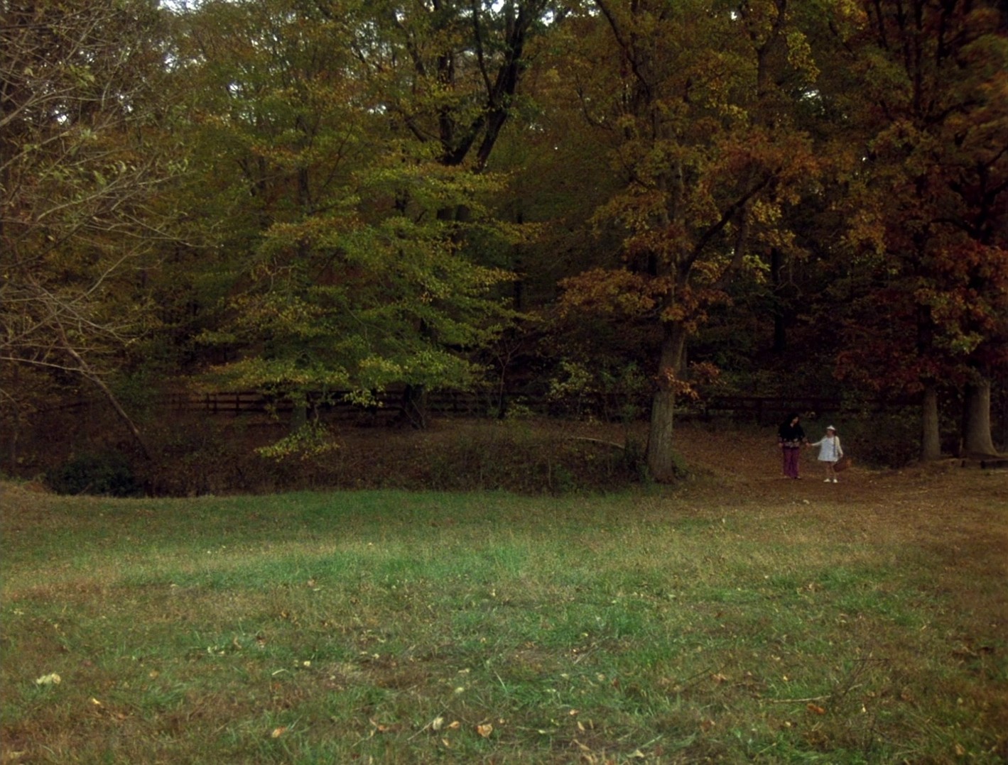 Polyester (1981) —  shot,  lighting