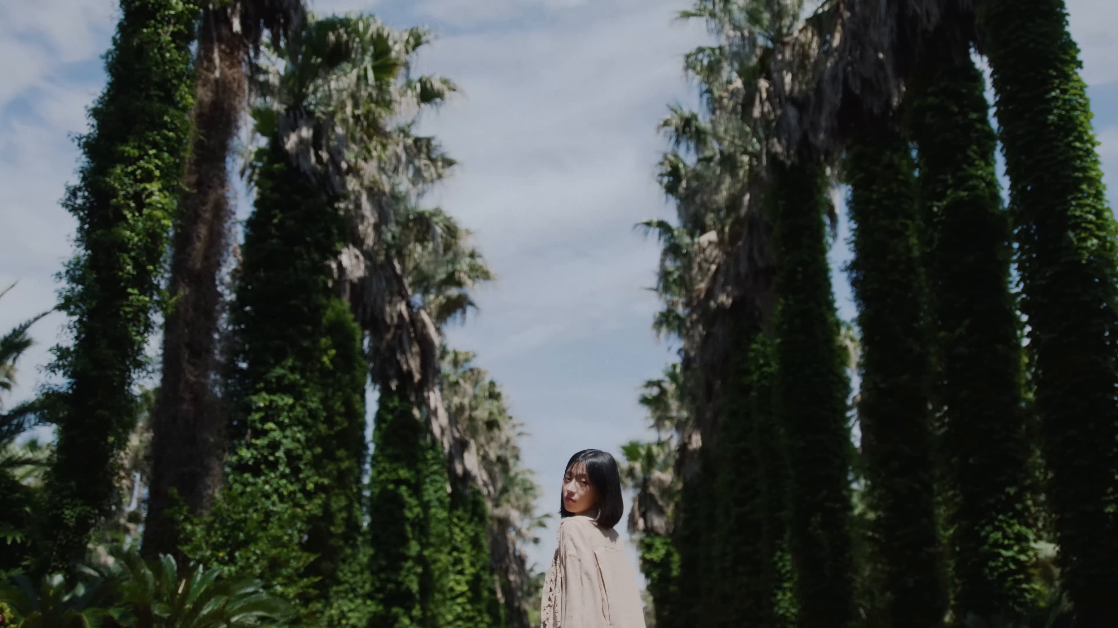 피가 모자라  (2025) —  shot,  lighting