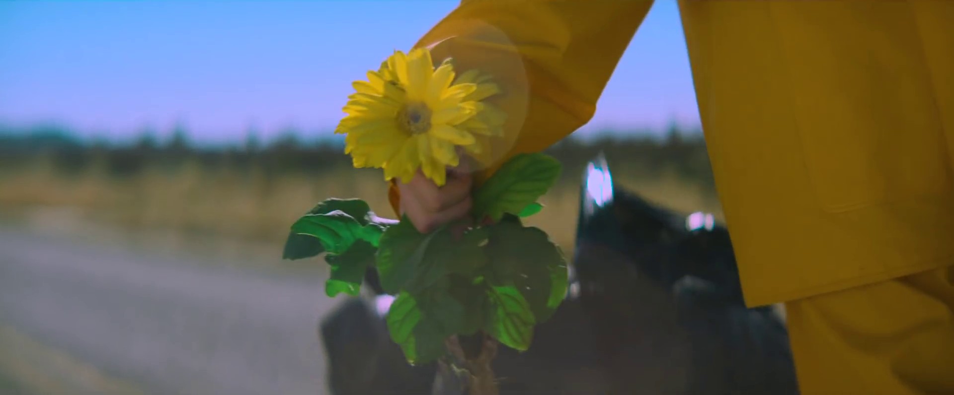 Bellyache (2017) —  shot,  lighting