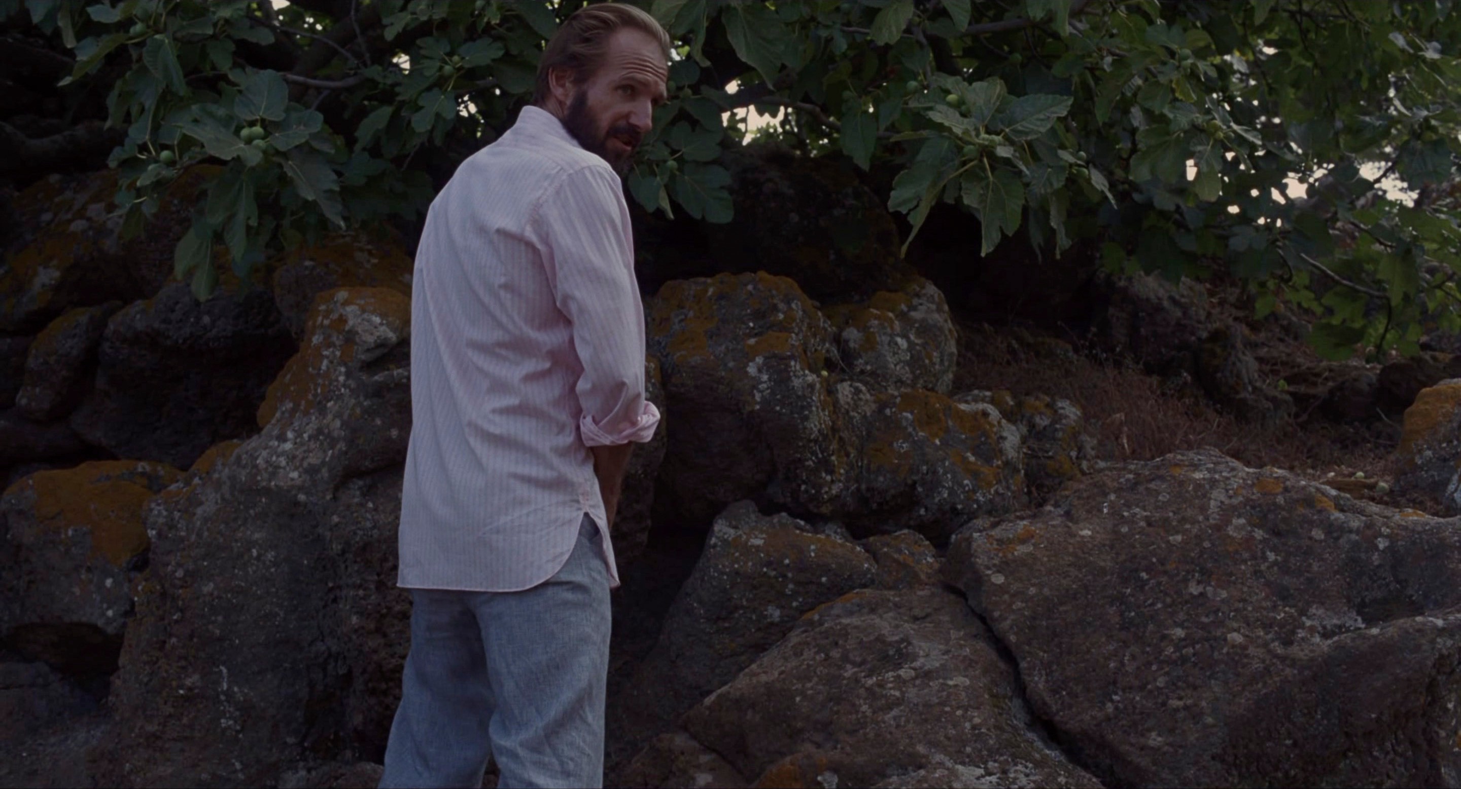 A Bigger Splash (2015) —  shot,  lighting