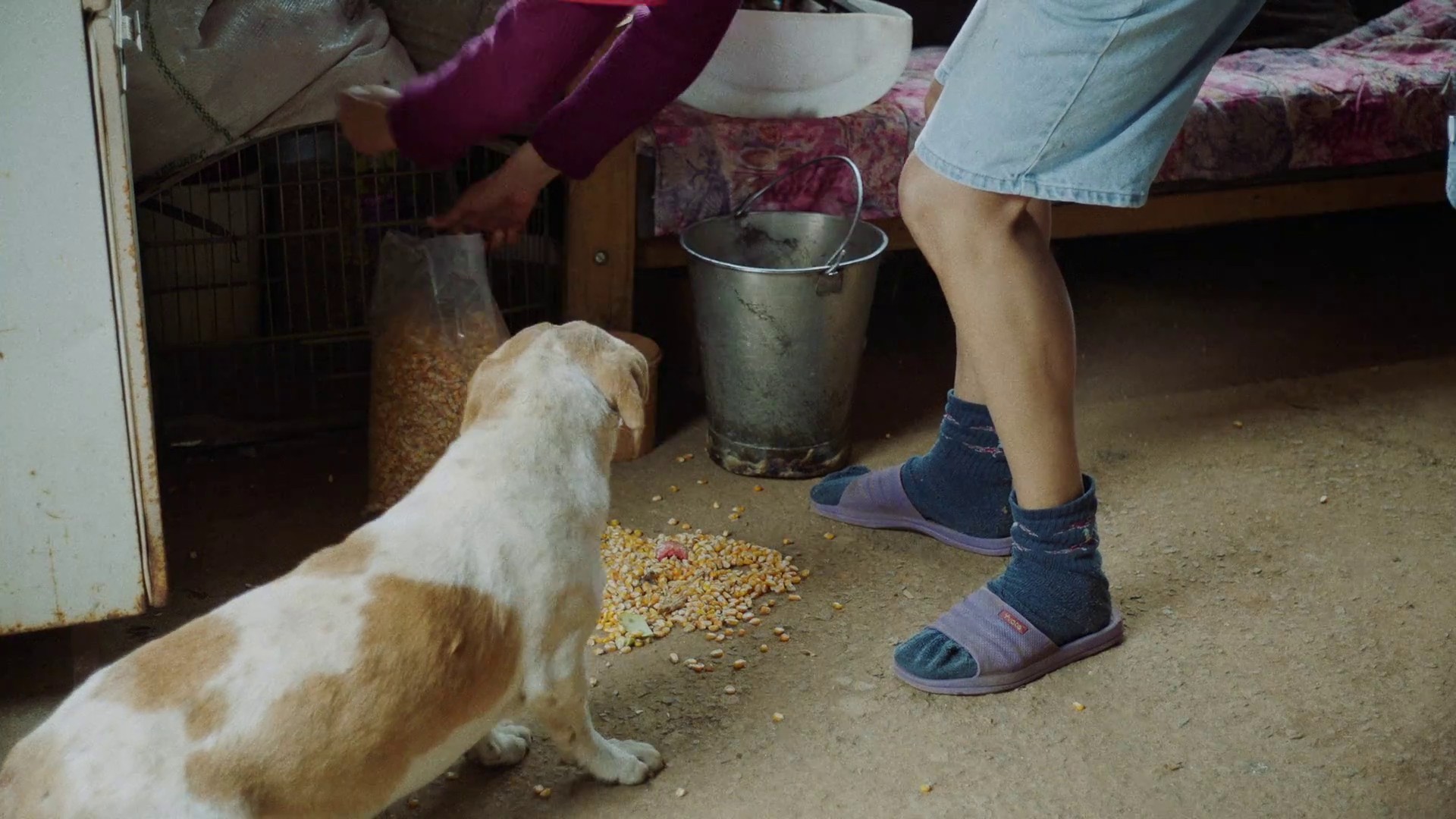 Charcoal (2023) —  shot,  lighting