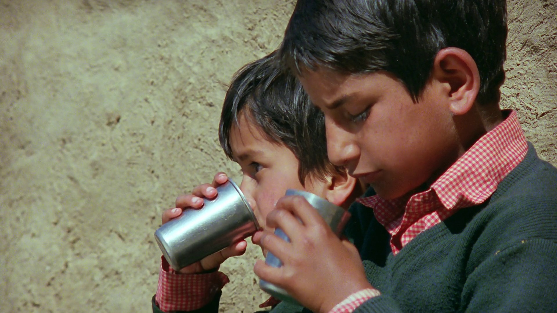 Kaphal: Wild Berries (2013) —  shot,  lighting