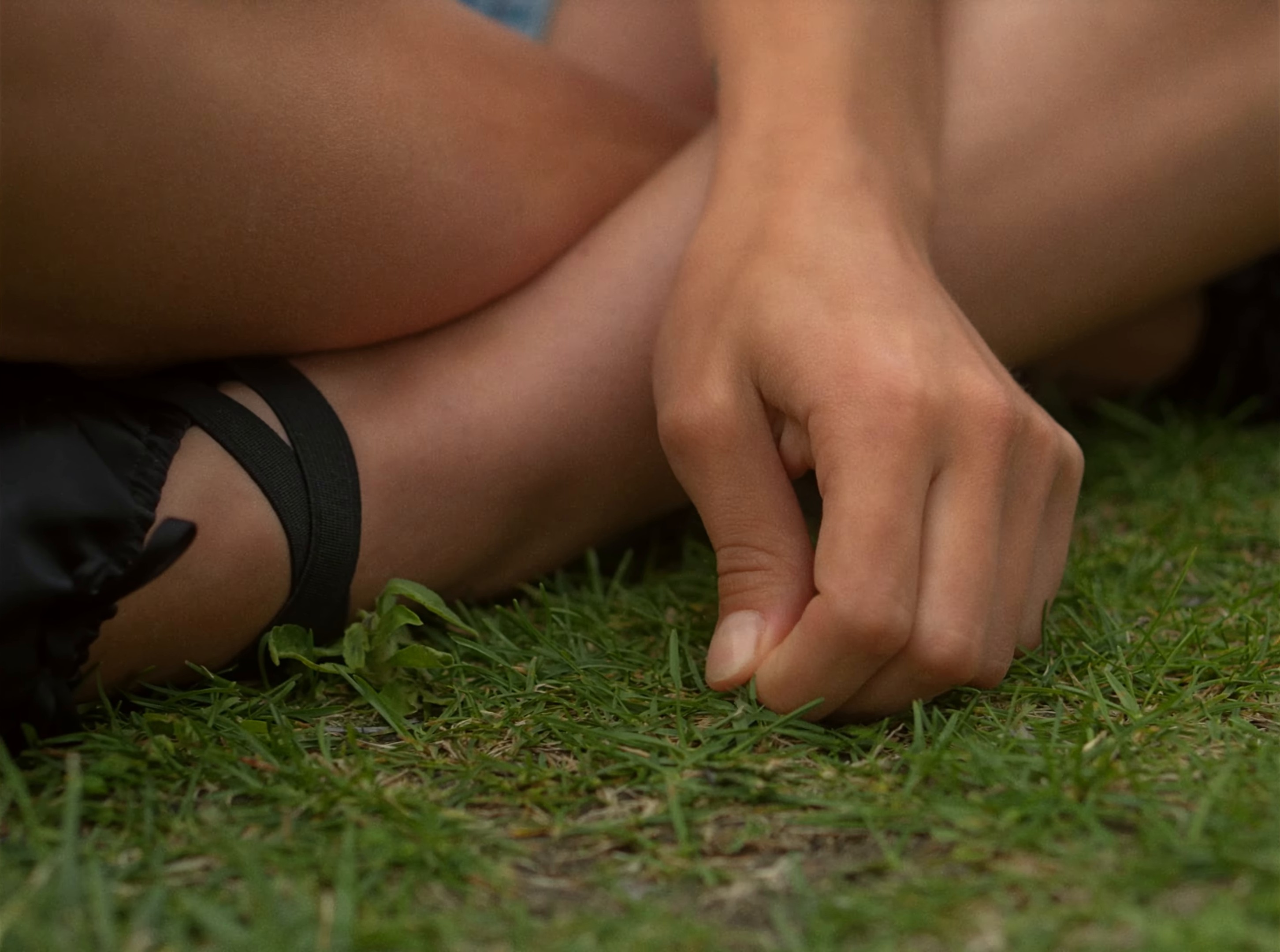 June Baby (2024) —  shot,  lighting