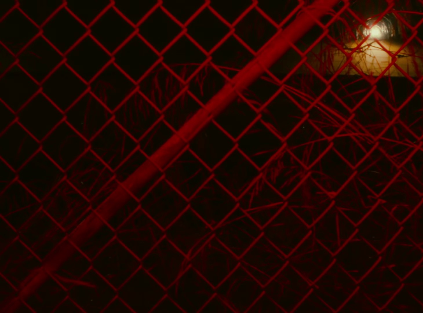 Backseat Girl (2024) —  shot,  lighting