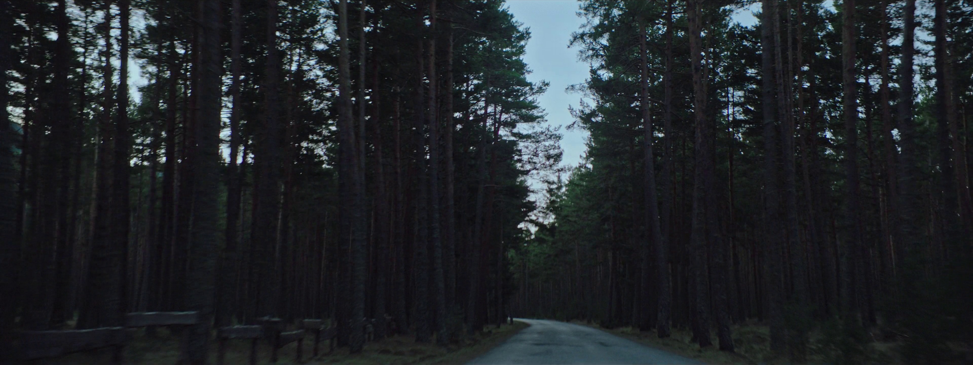 BMW – Feel Again (2020) —  shot,  lighting