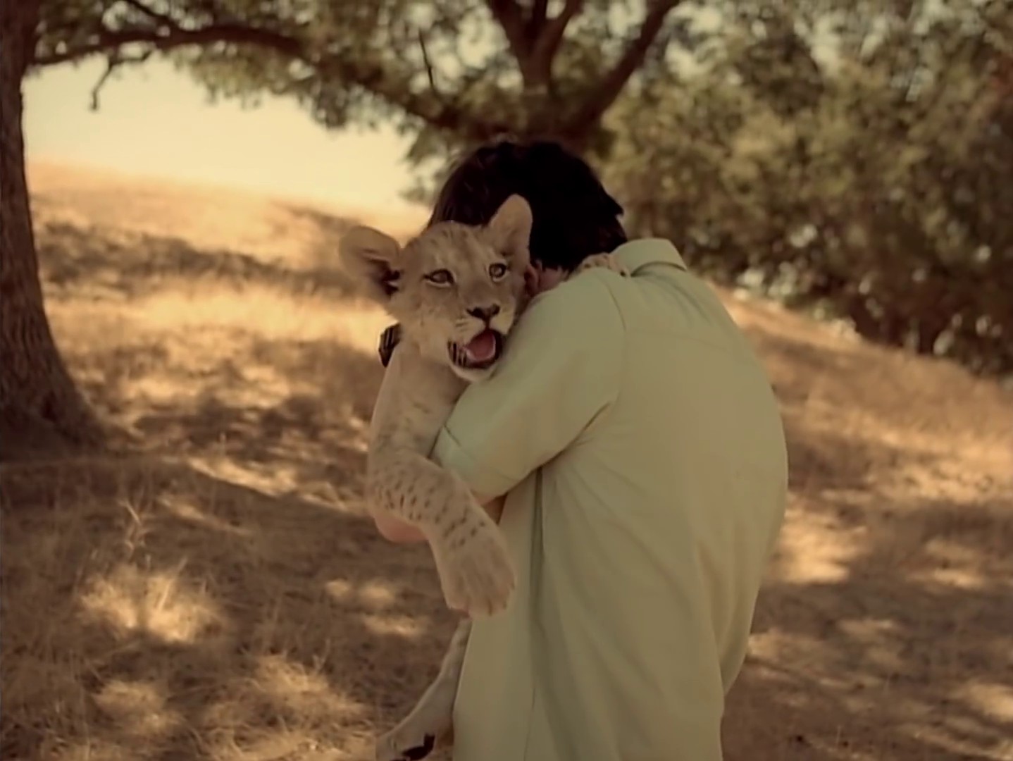 Island In The Sun (2009) —  shot,  lighting