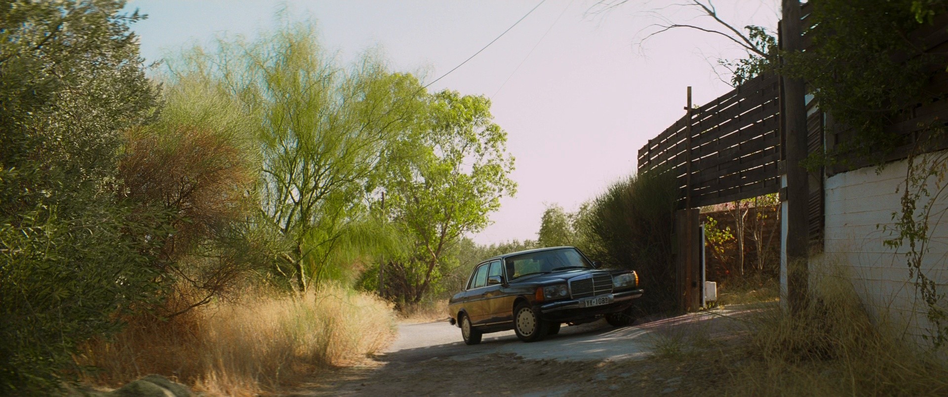 Dogtooth (2009) —  shot,  lighting