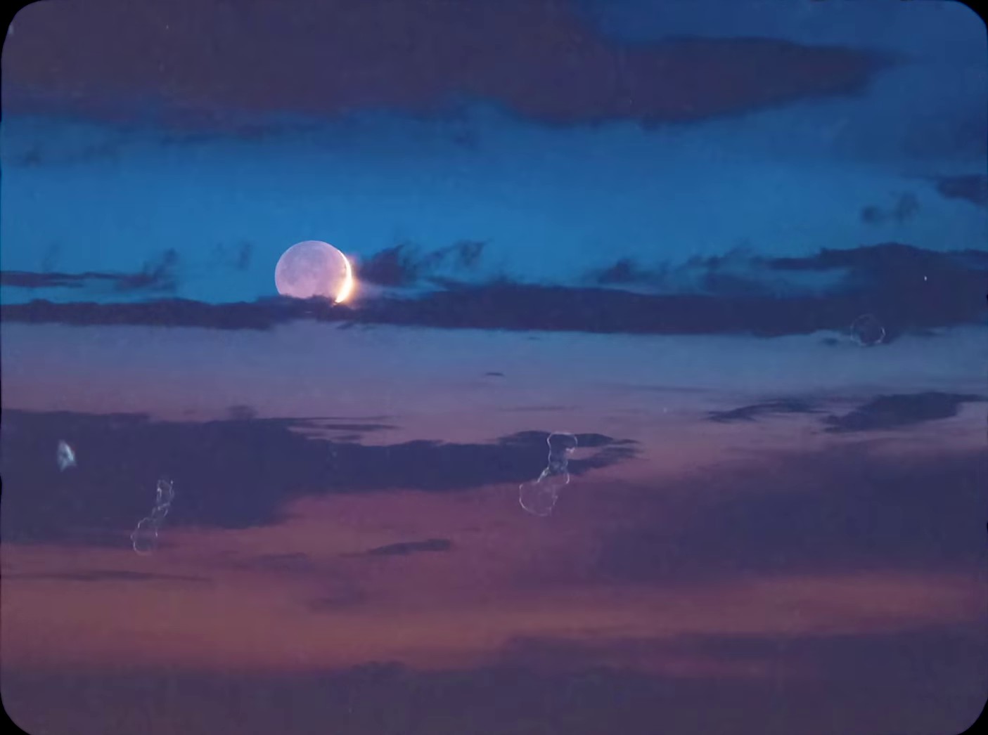 Cardinal (2024) —  shot,  lighting