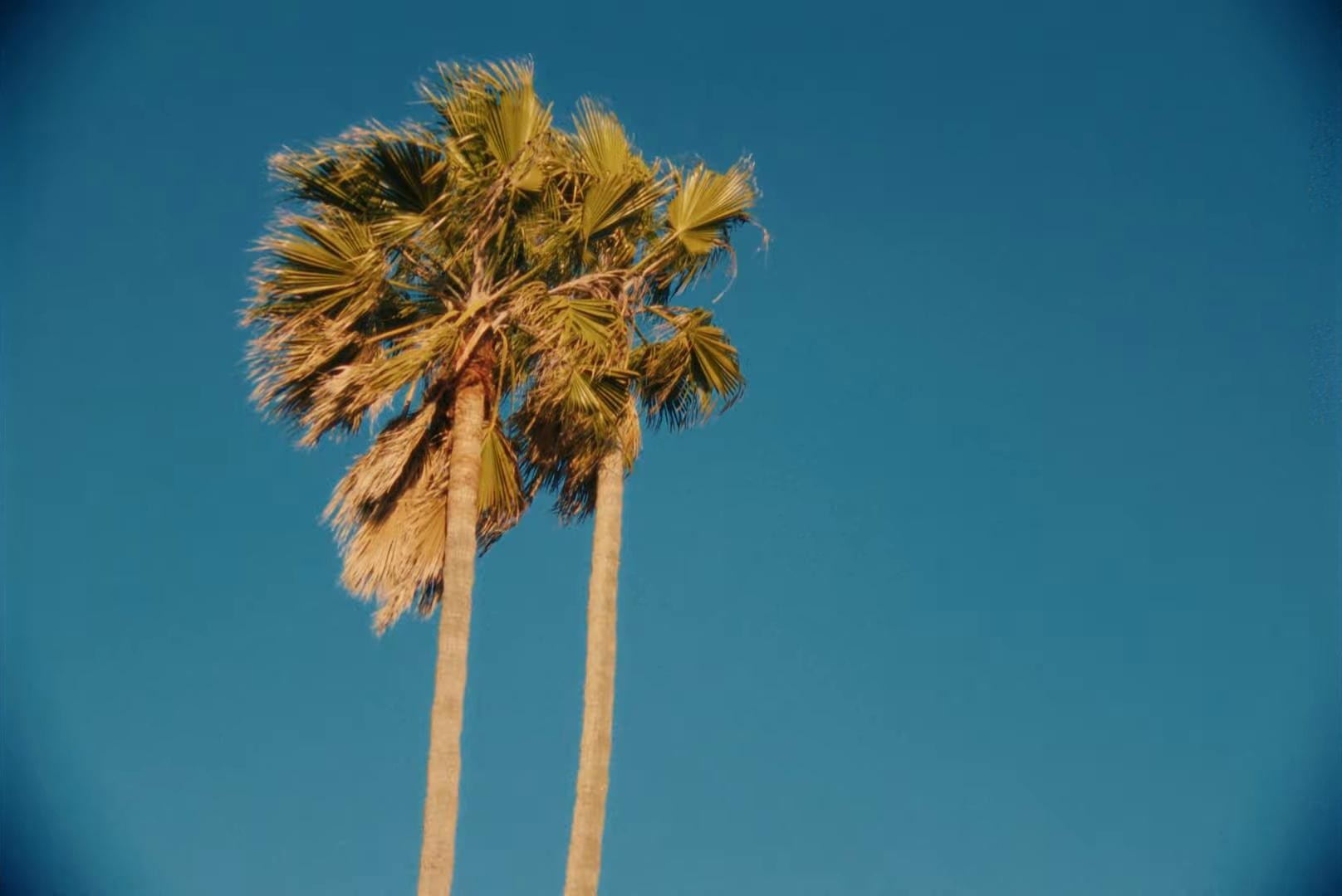 table for two (2025) —  shot,  lighting