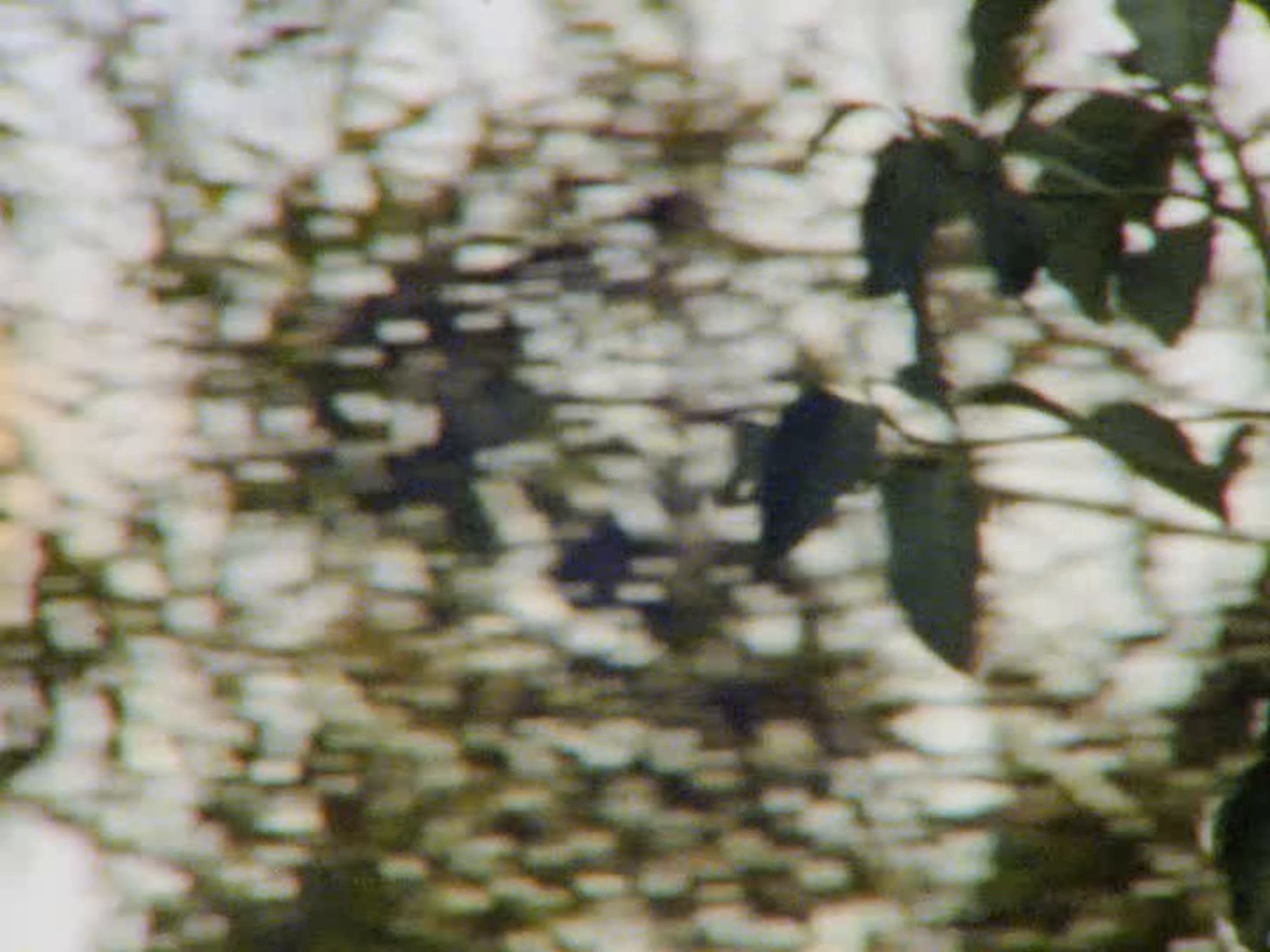 World on a String (2024) —  shot,  lighting