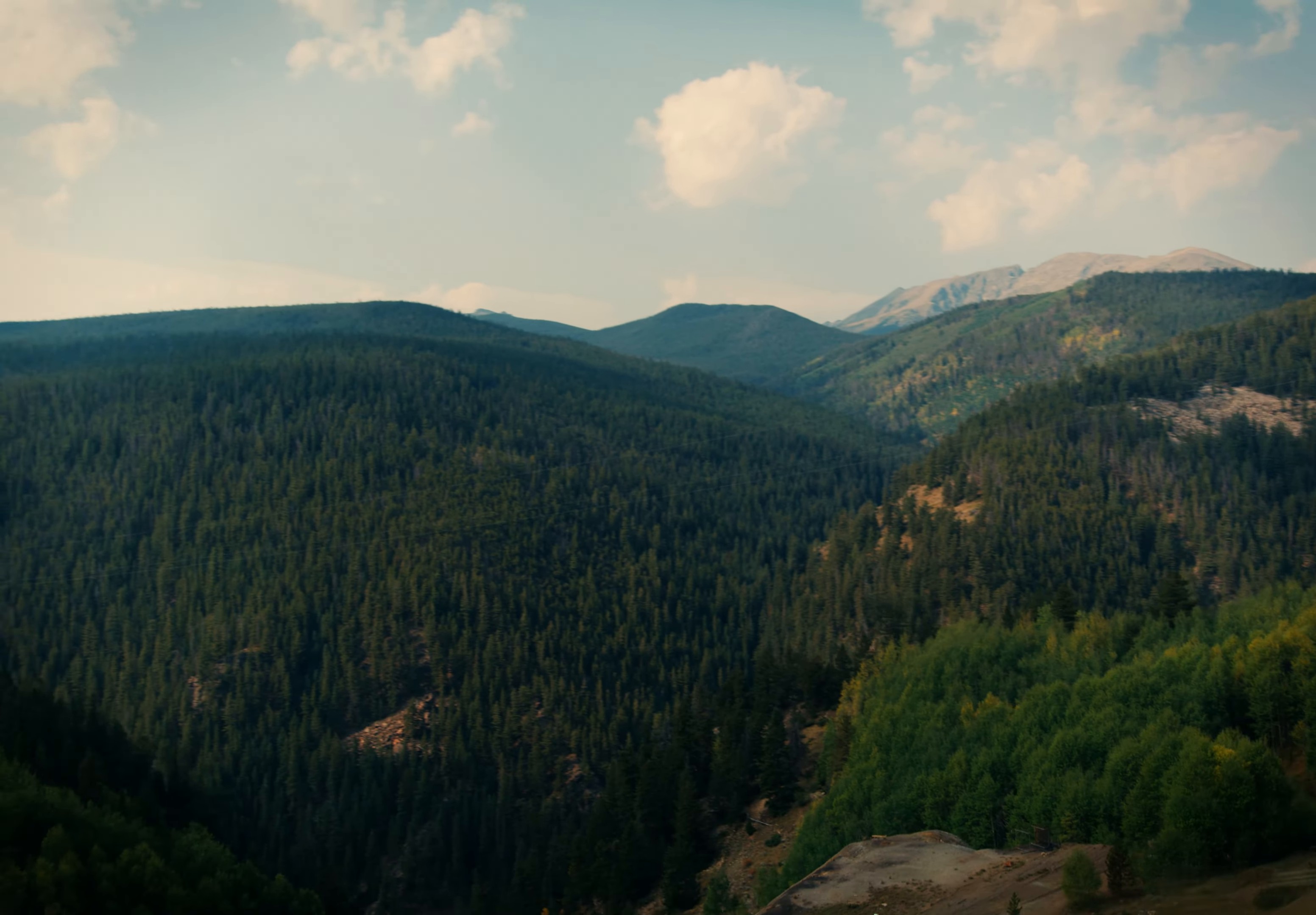 Gatlinburg (2024) —  shot,  lighting