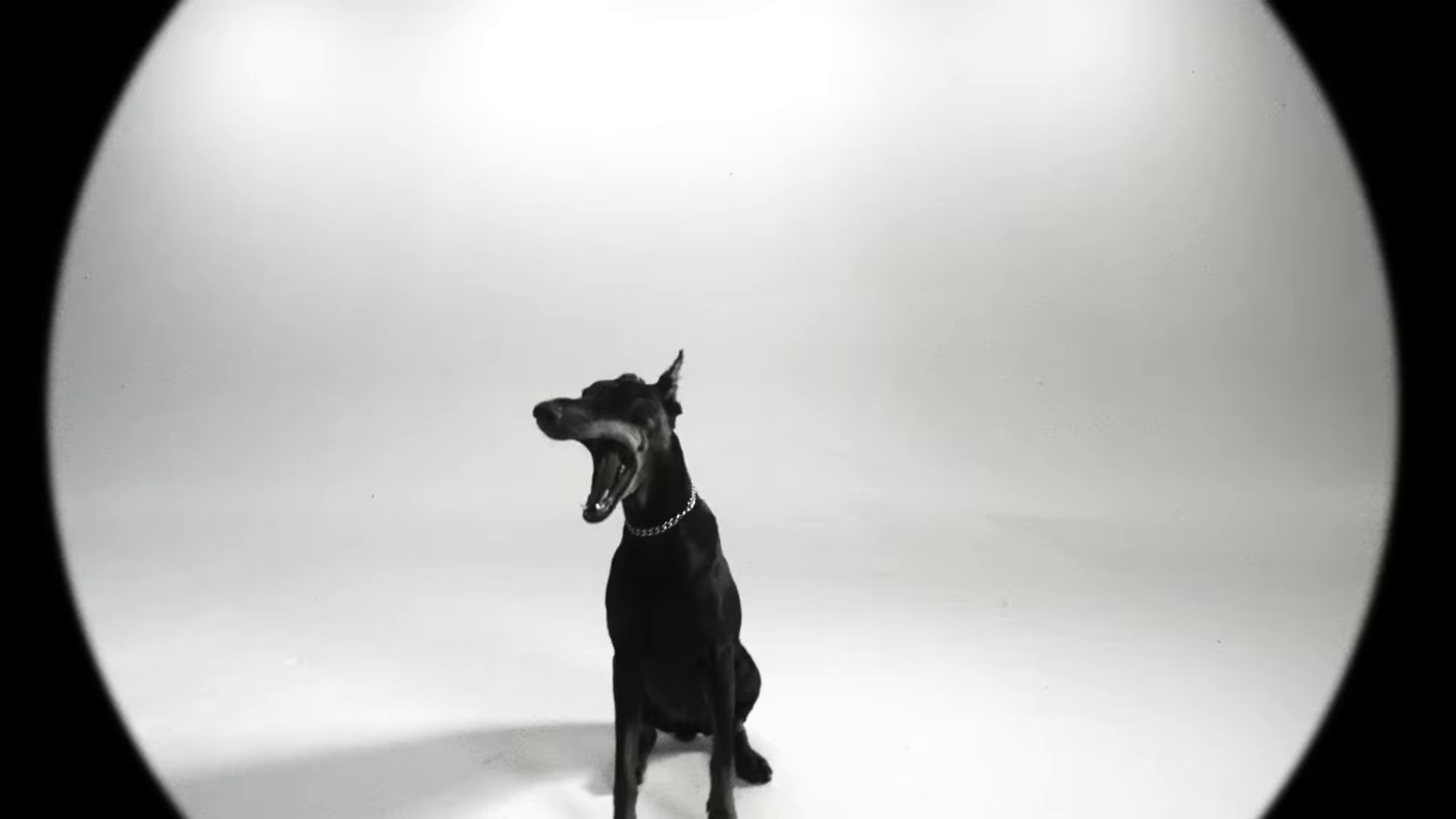 Danger  (2022) —  shot,  lighting