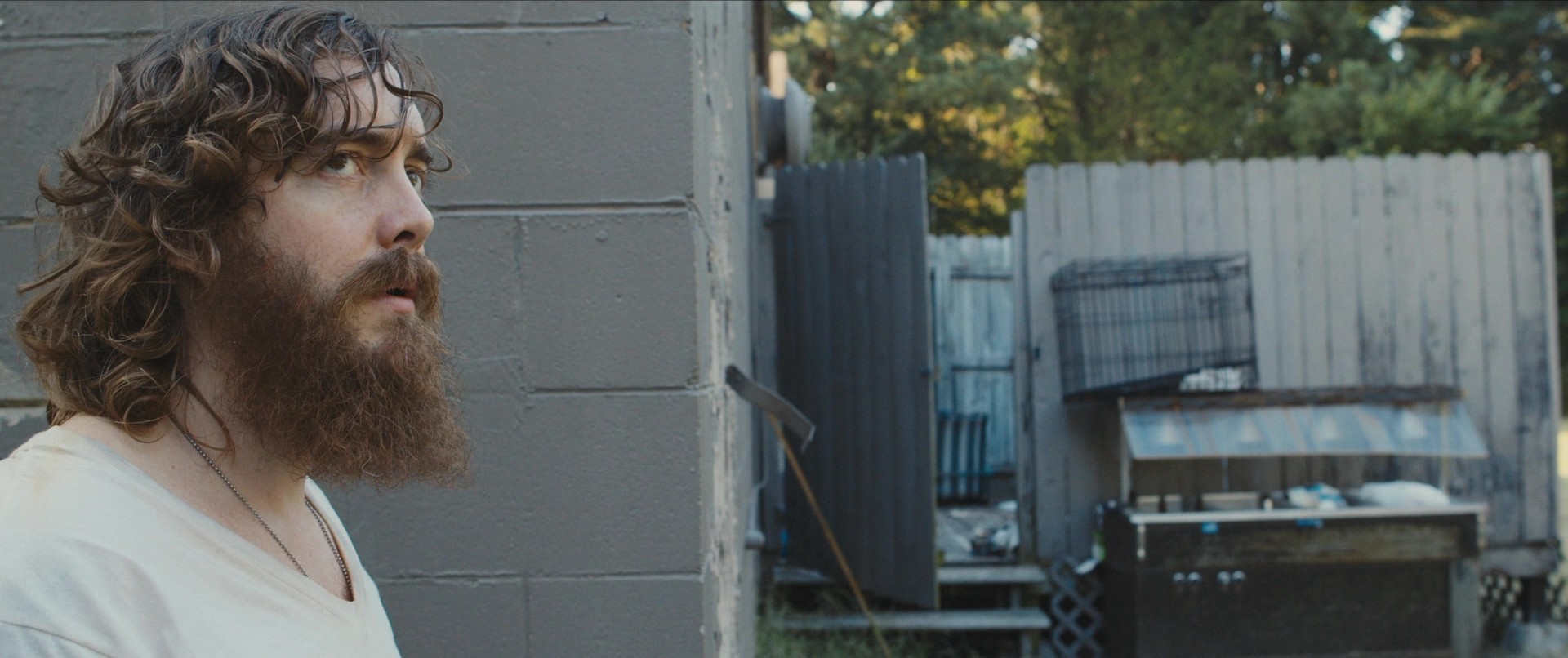 Blue Ruin (2013) —  shot,  lighting