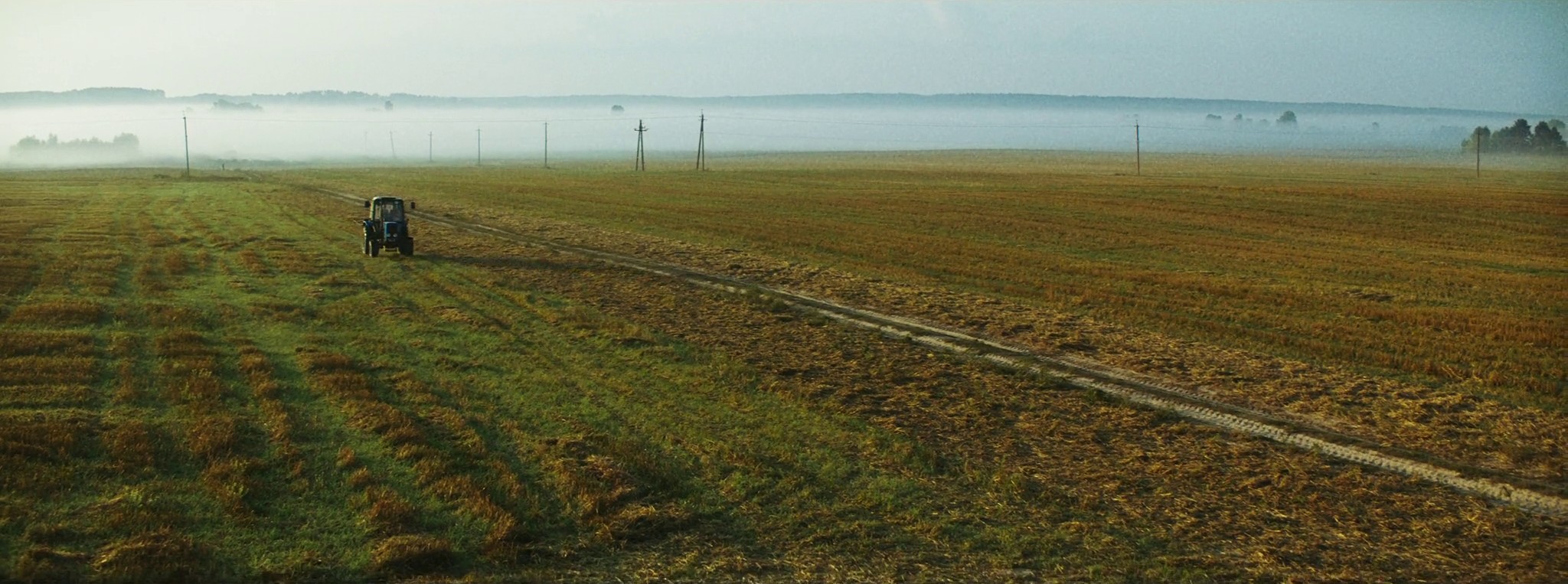 Miss You Everyday (2019) —  shot,  lighting