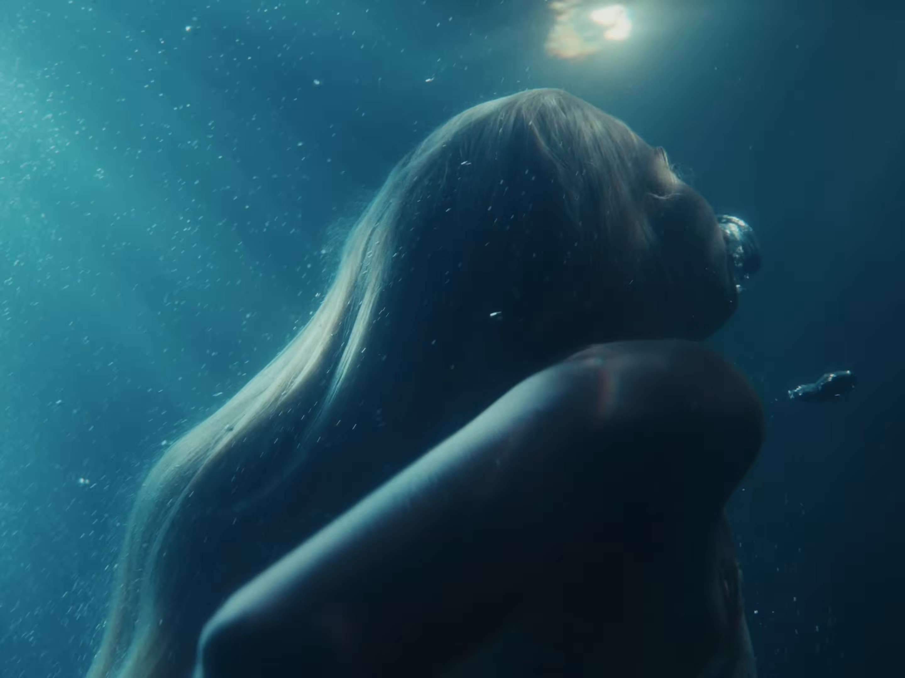 Chronic (2026) —  shot,  lighting