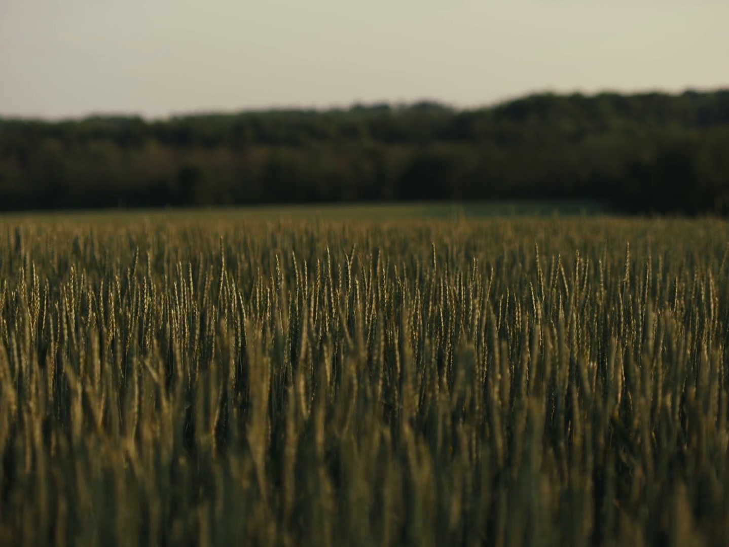 Toyota: Memories Made in Miles (2024) —  shot,  lighting