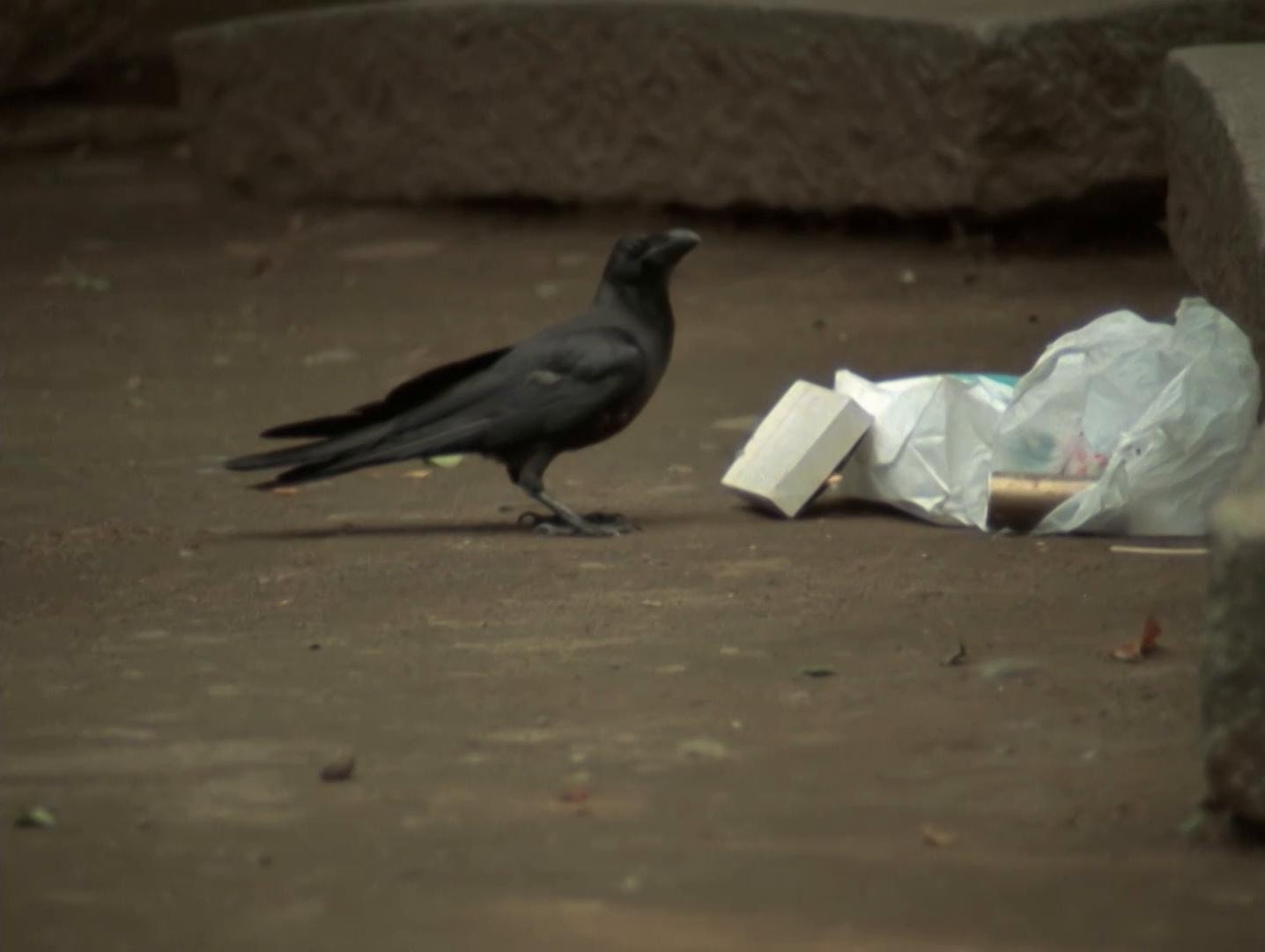 Mathématique ou L'empire des signes (1990) —  shot,  lighting