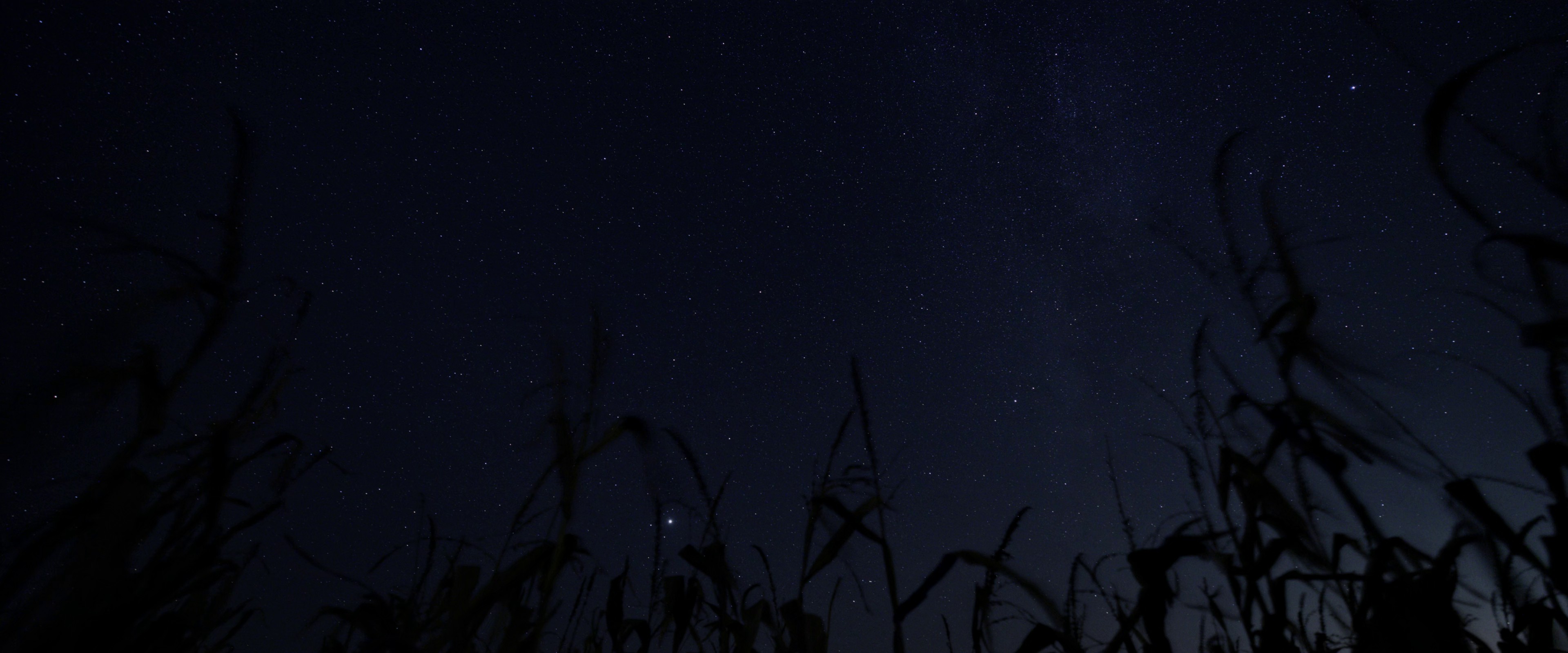 Dark Harvest (2023) —  shot,  lighting