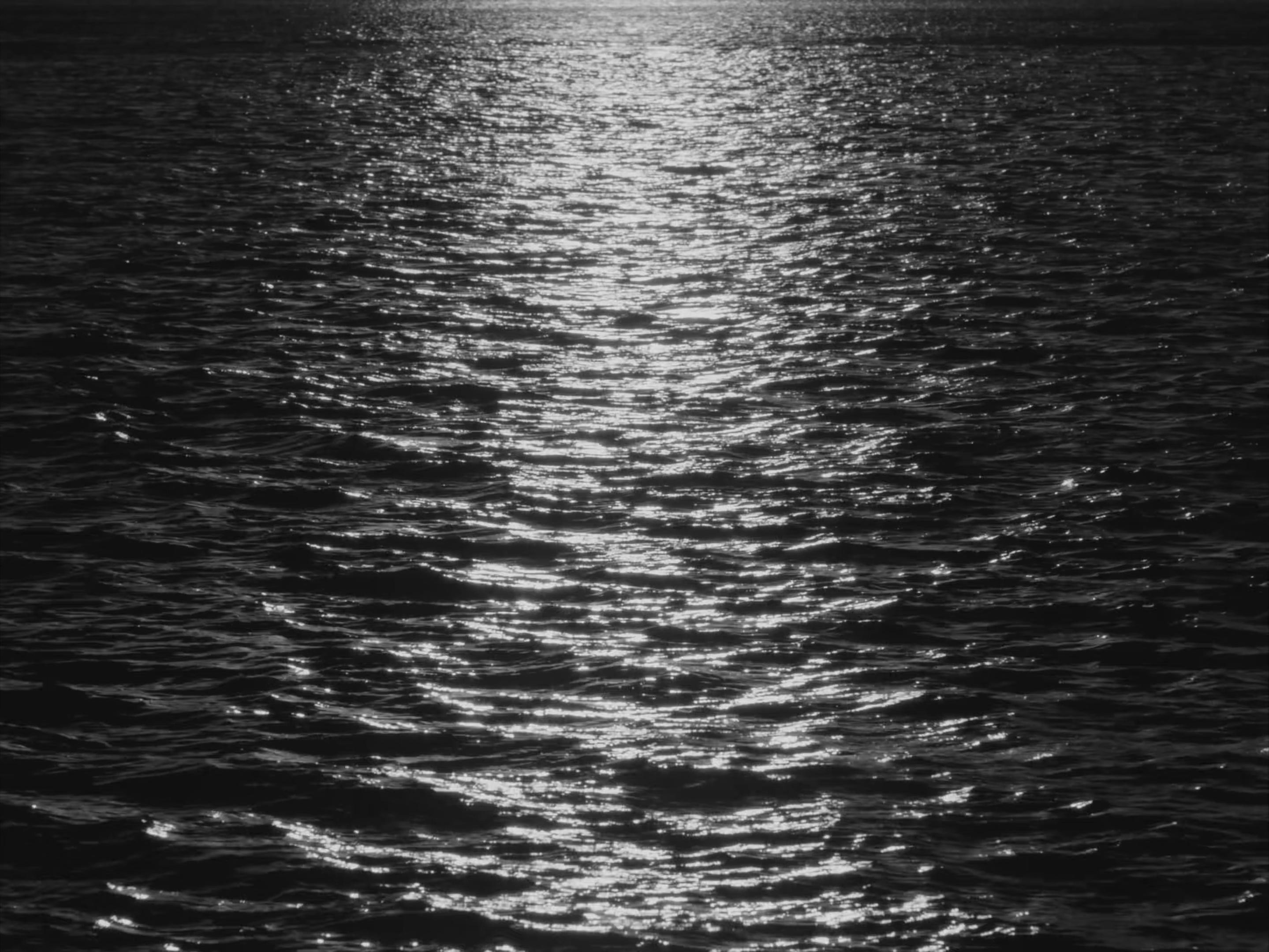 Love Is A Stillness (2025) —  shot,  lighting