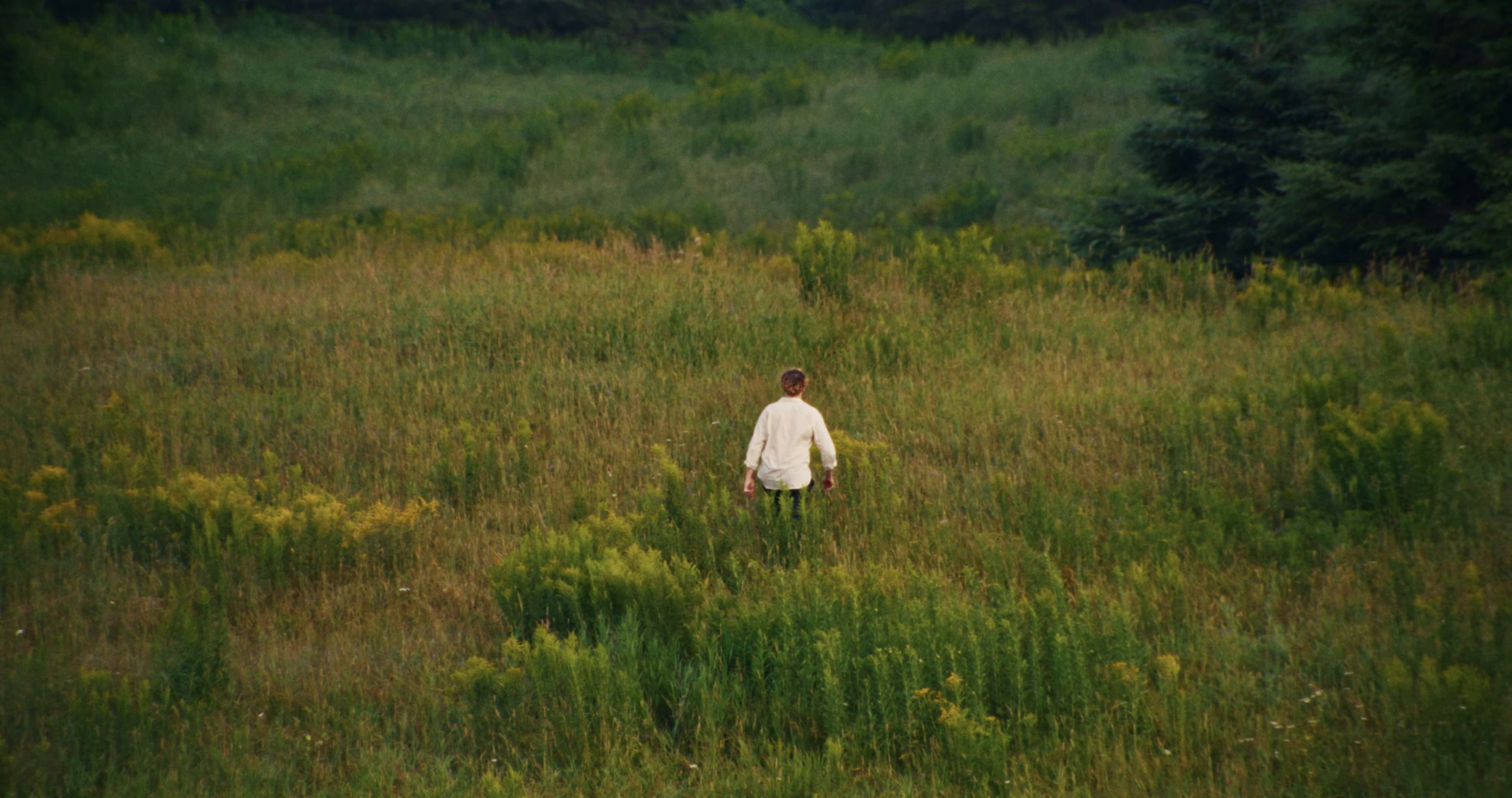 GODDAMN! (2025) —  shot,  lighting