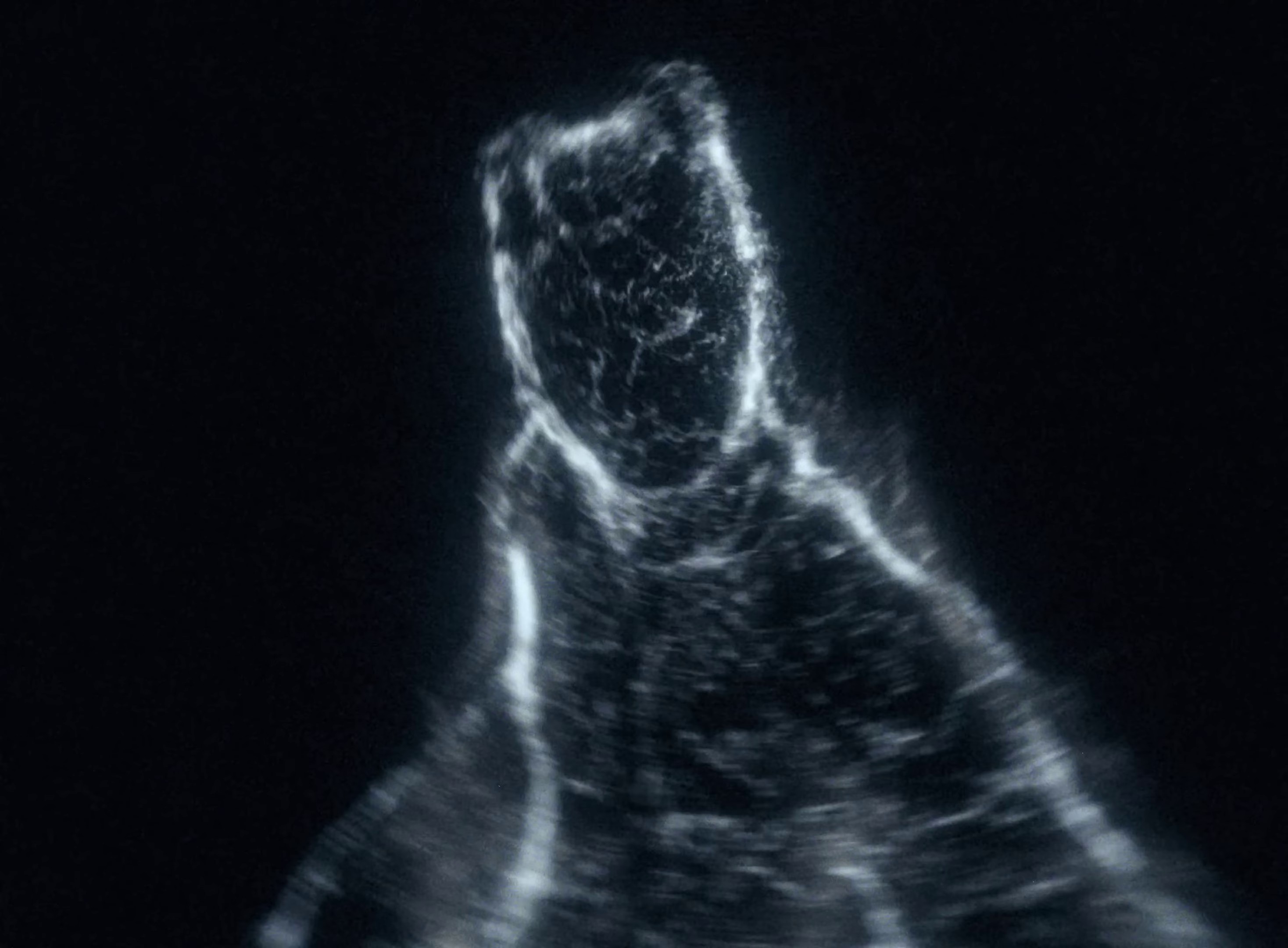 Jokes On Me (2024) —  shot,  lighting